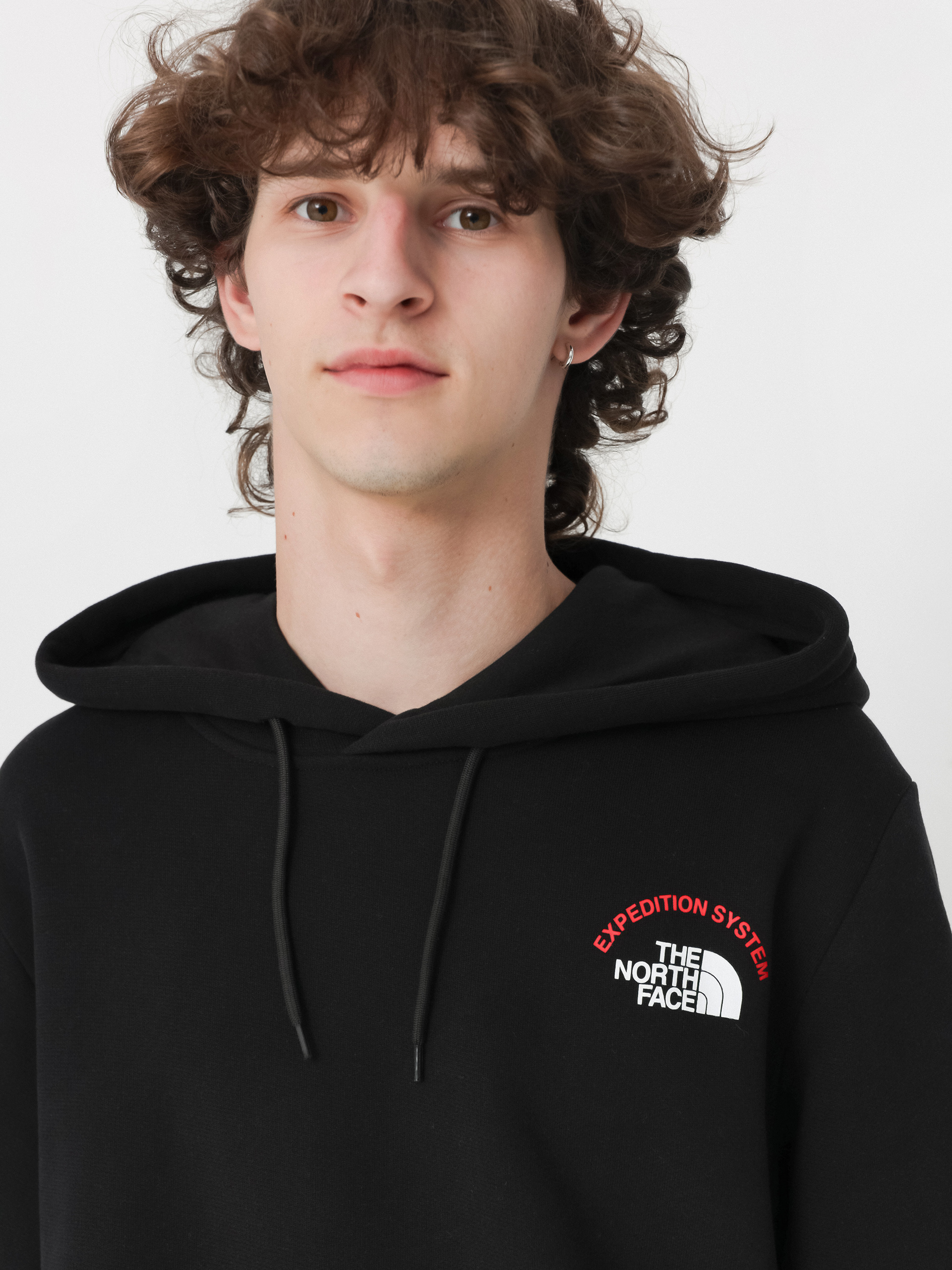 The North Face Expedition System Graphic HD Hoodie (tnf black)