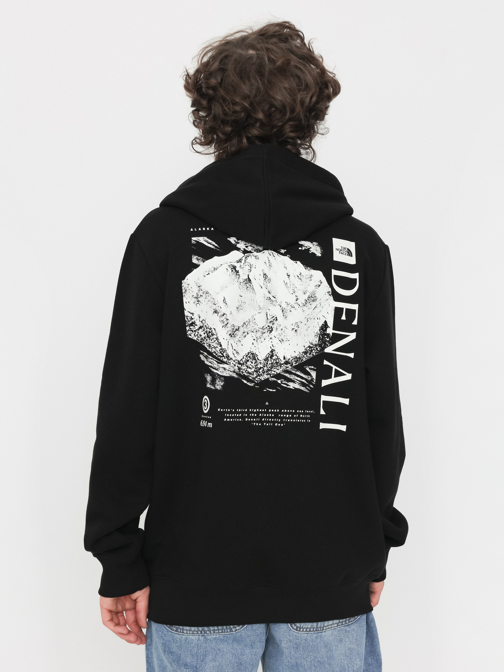 The North Face Topographic HD Hoodie (tnf black)