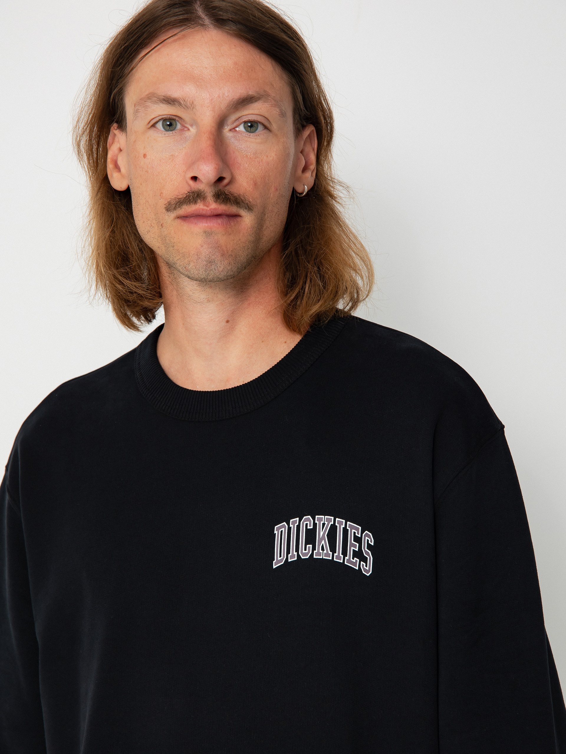 Dickies Aitkin Chest Sweatshirt (blk/plum perfct)