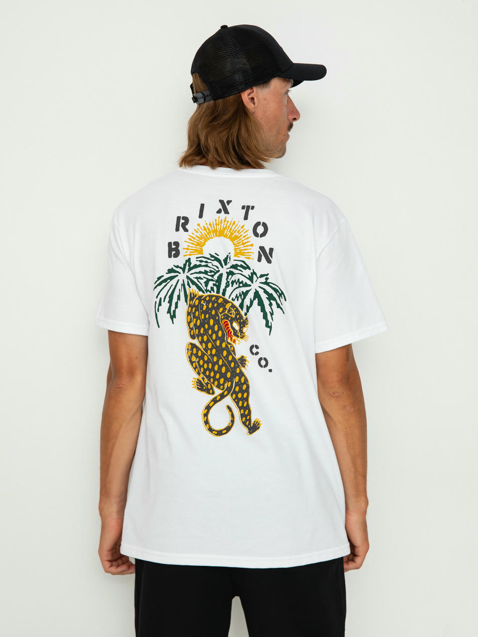 Brixton Seeks Stt T-Shirt (white)