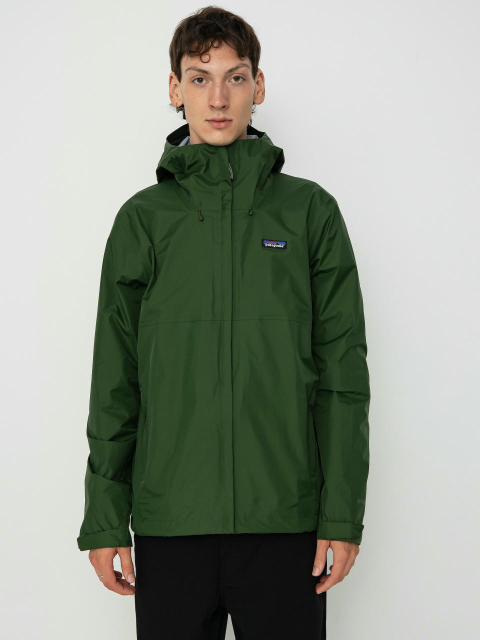 Patagonia Torrentshell 3L Jacke (torrey pine green)