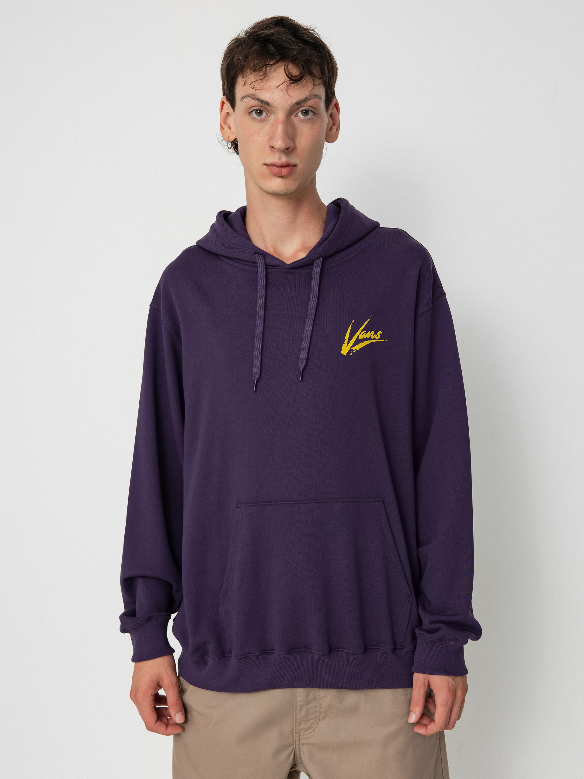 Vans Dettori Loose HD Hoodie (gothic grape)