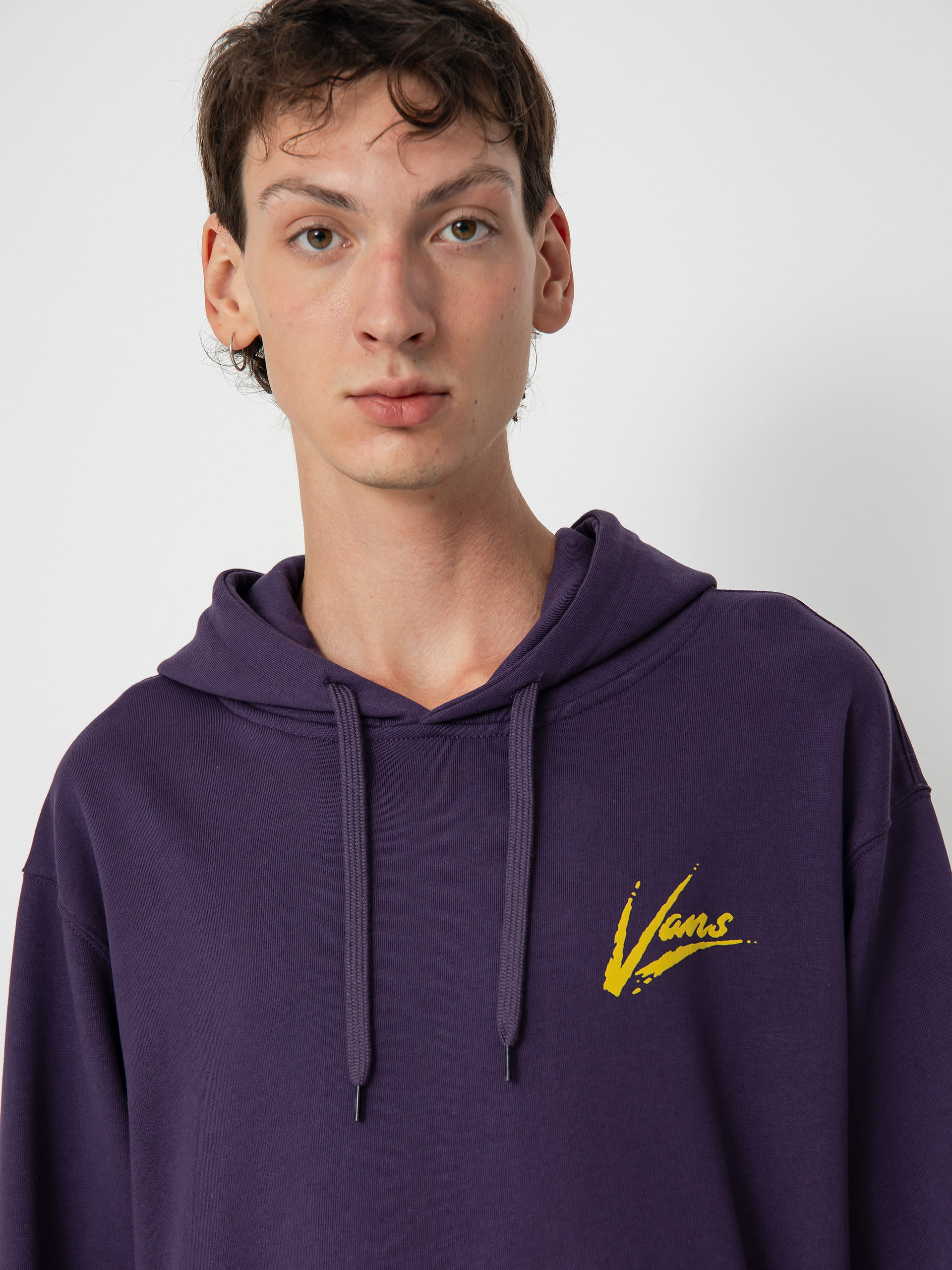 Vans Dettori Loose HD Hoodie (gothic grape)