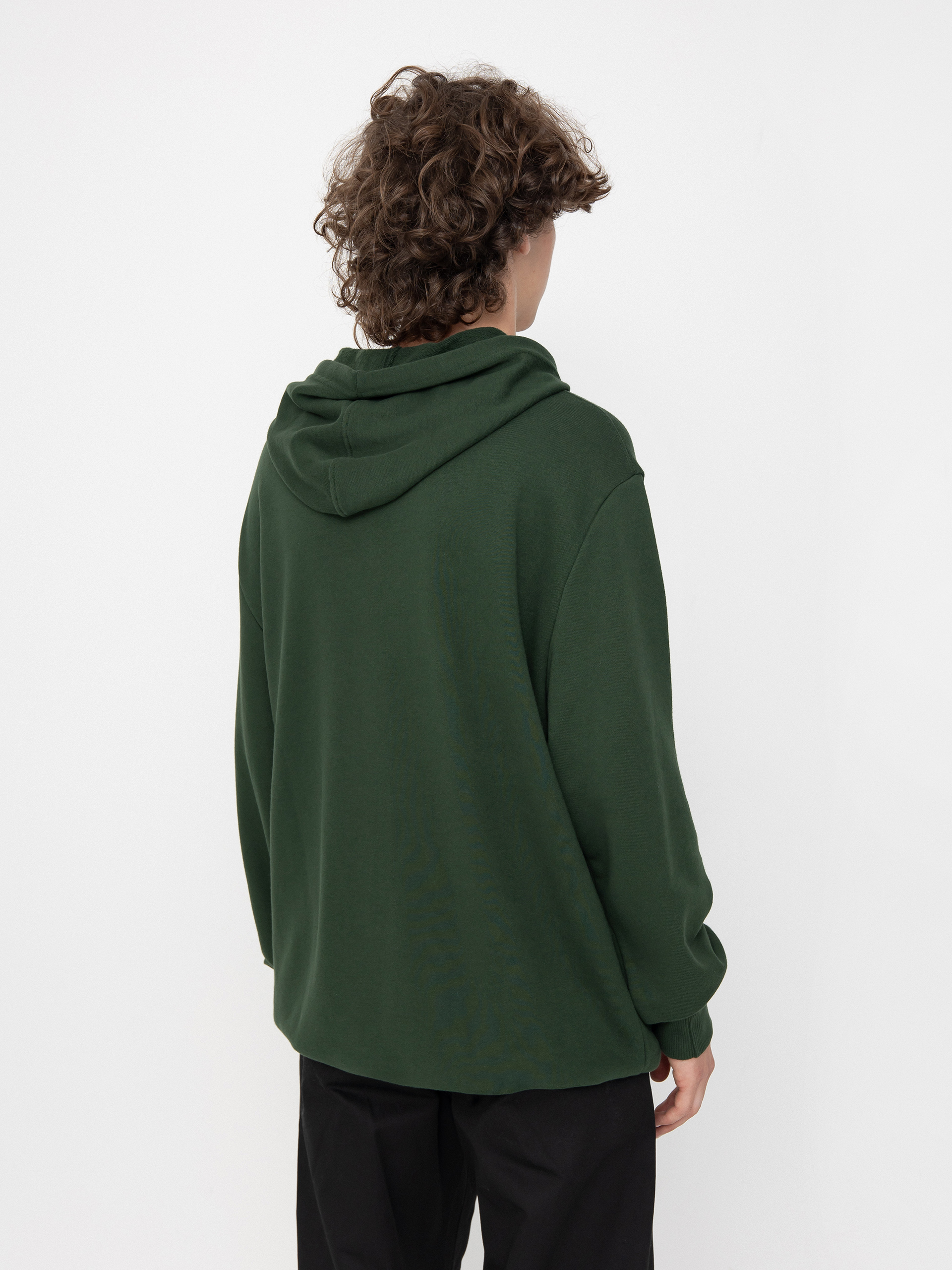 DC Core HD Hoodie (mountain view)