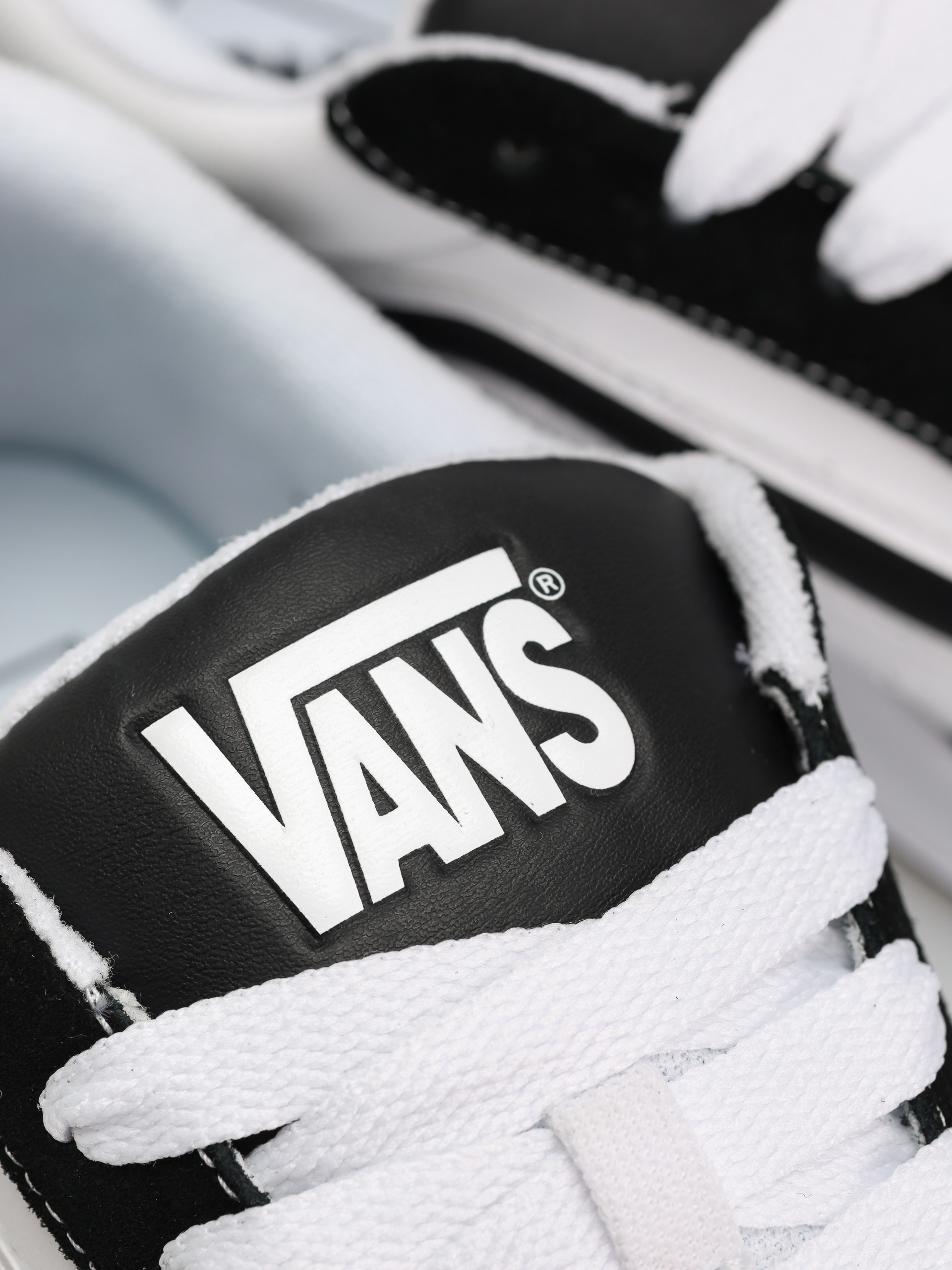 Vans Hylane Schuhe (black/white)
