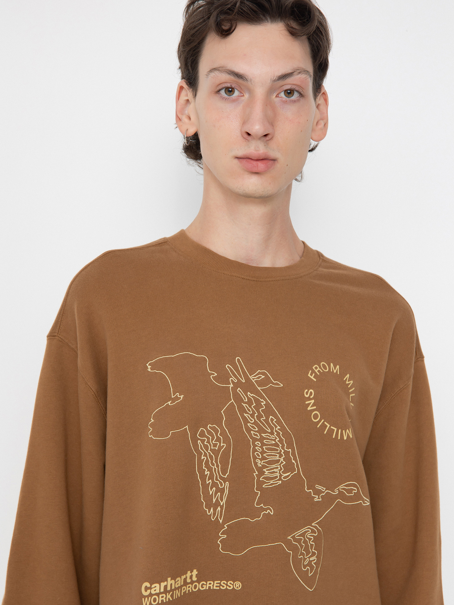 Carhartt WIP Flying Ducks Sweatshirt (hamilton brown)