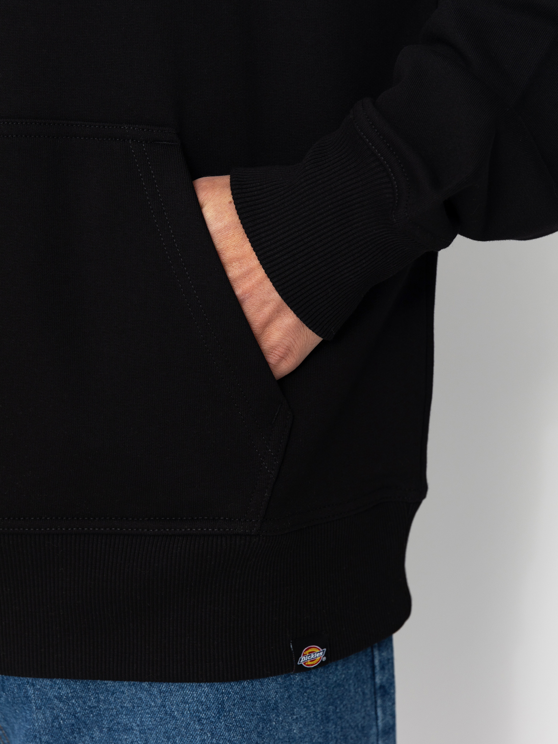 Dickies Globe HD Hoodie (black)
