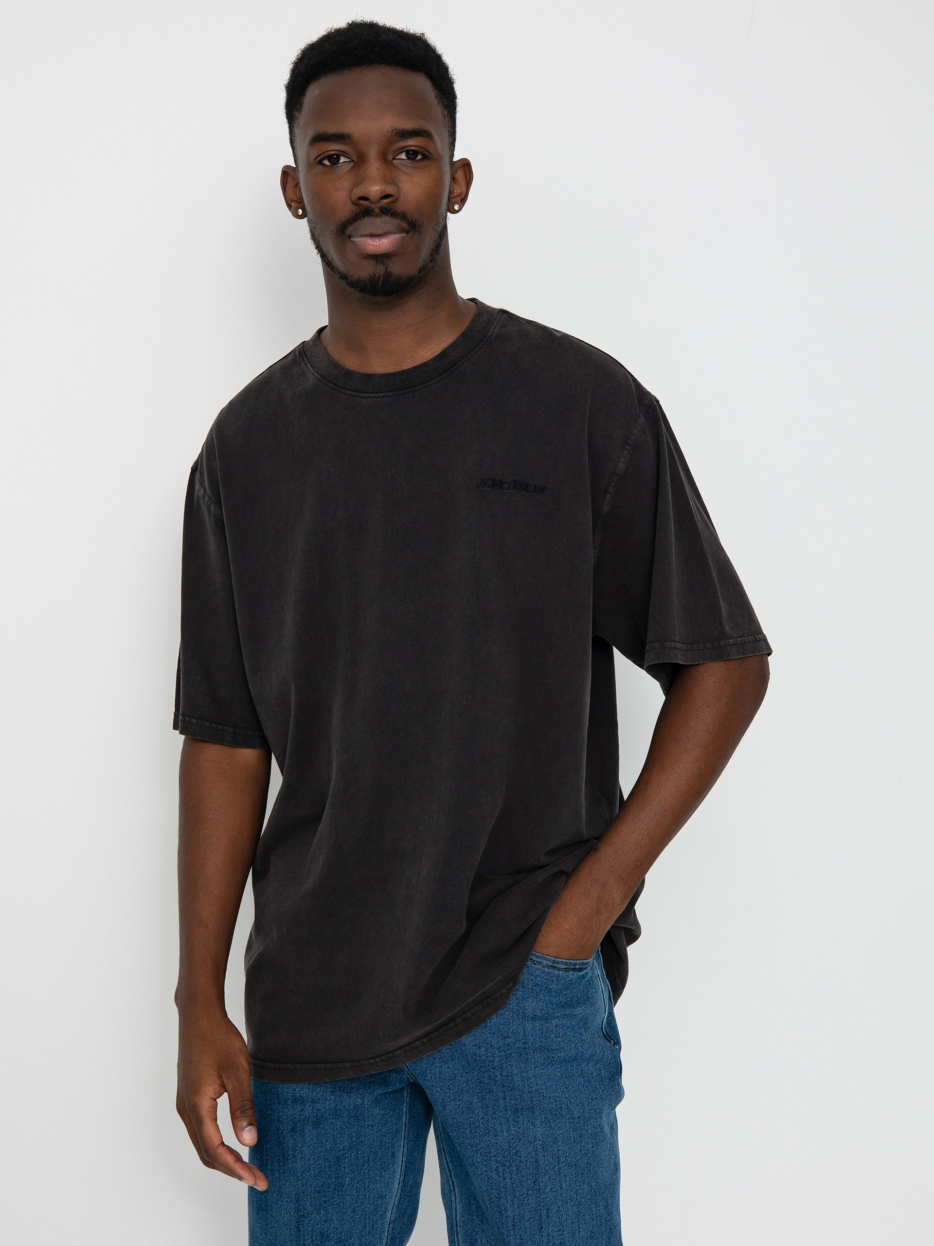 Dickies Plentywood T-Shirt - black (dble dye/acd bl)