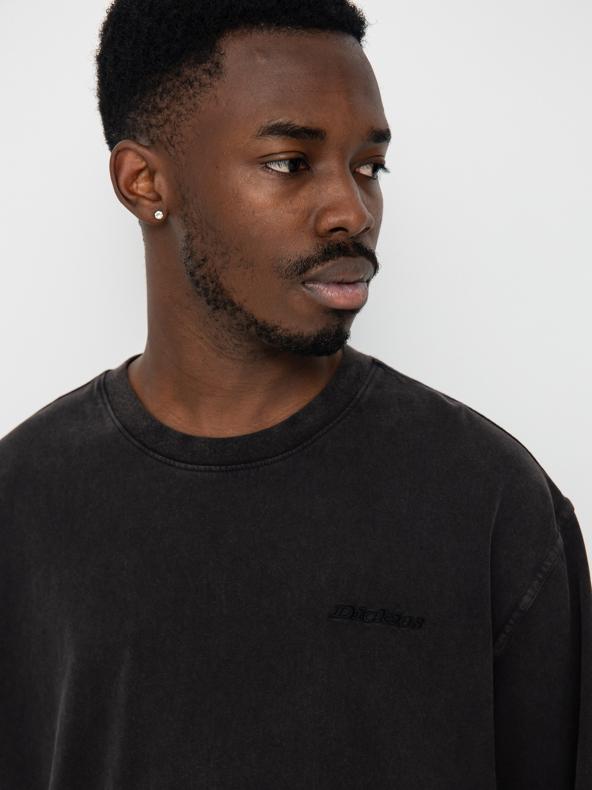 Dickies Plentywood T-Shirt - black (dble dye/acd bl)