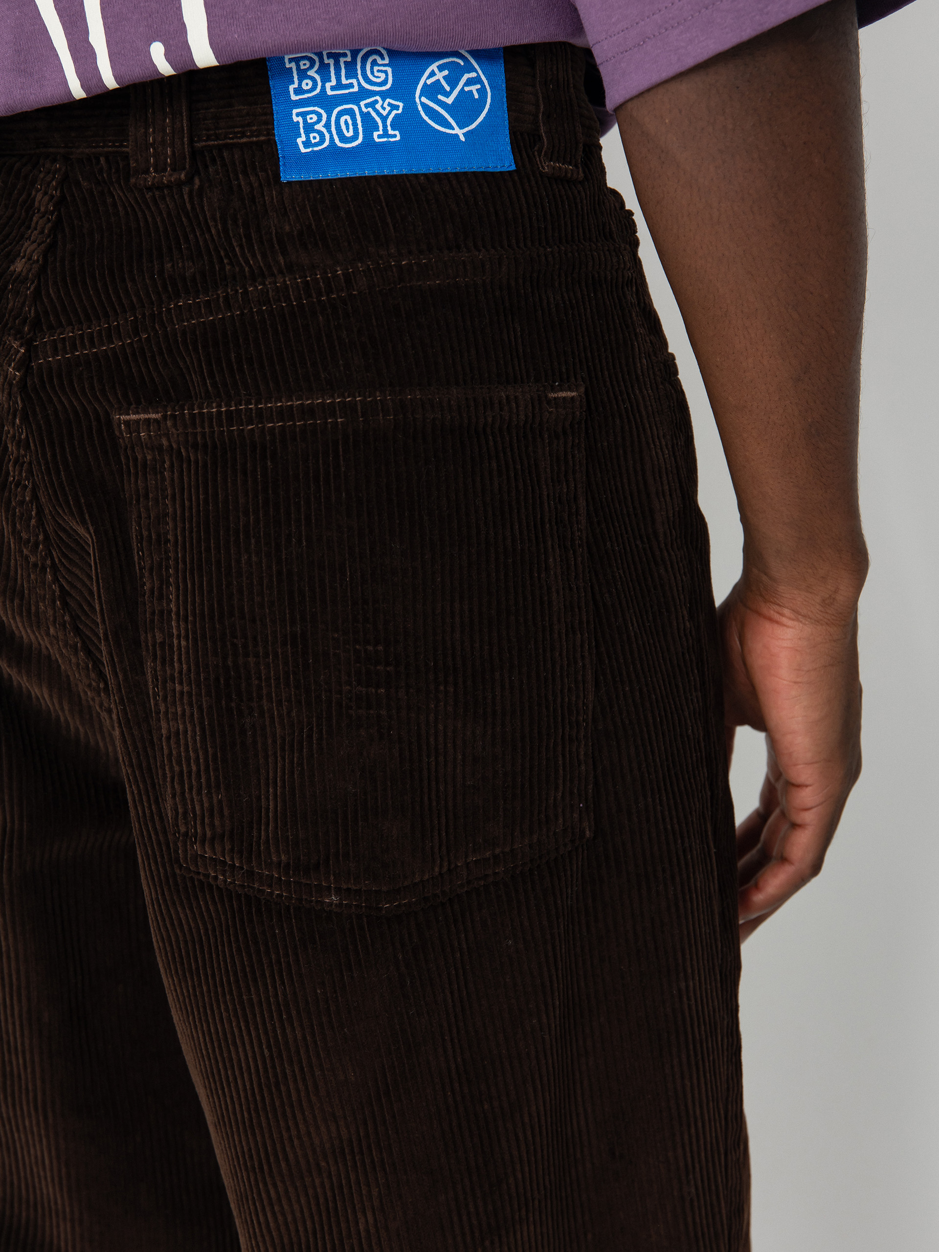 Polar Skate Big Boy Cord Pants (chocolate)