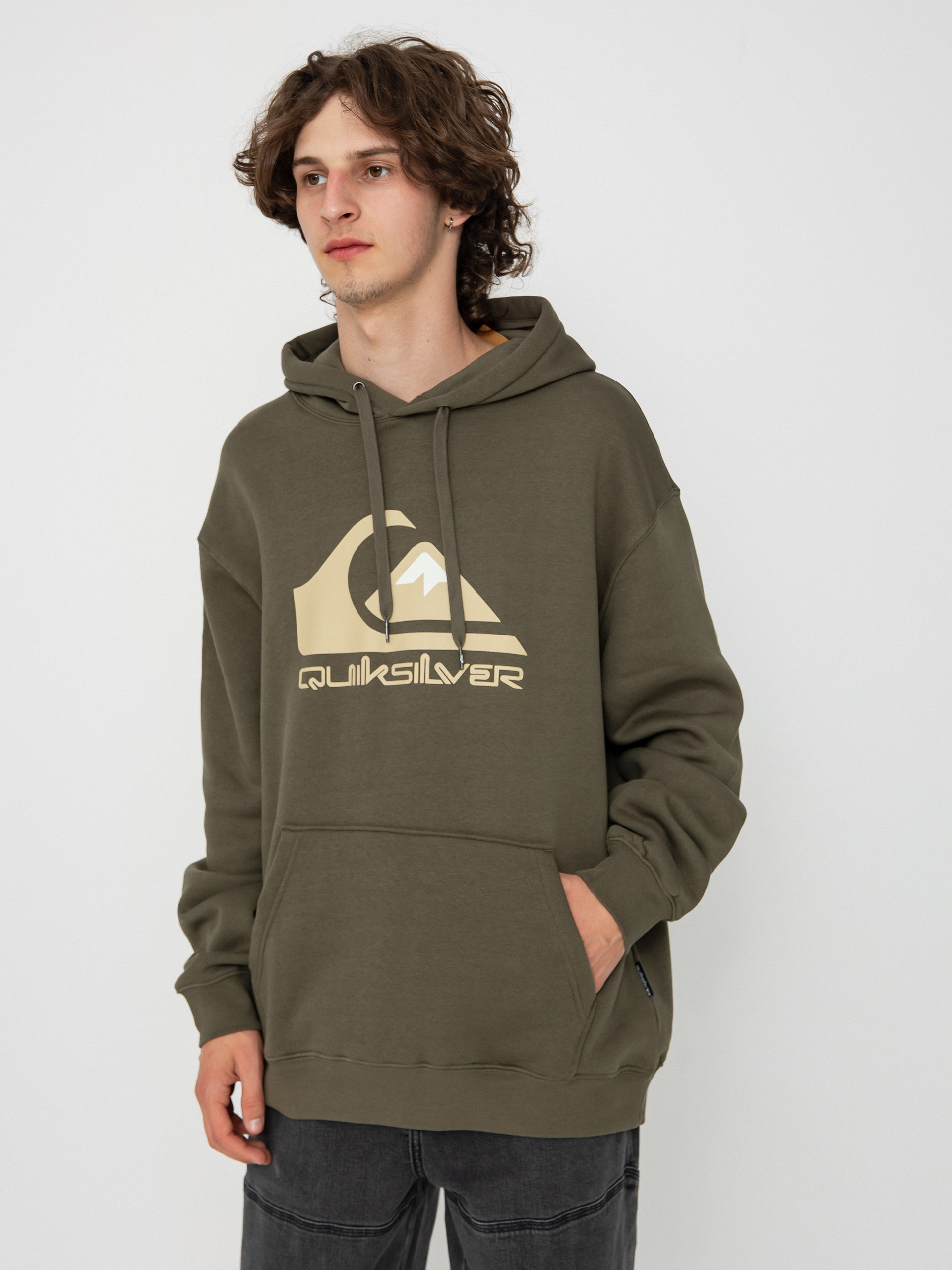 Quiksilver Big Logo HD Hoodie (grape leaf)