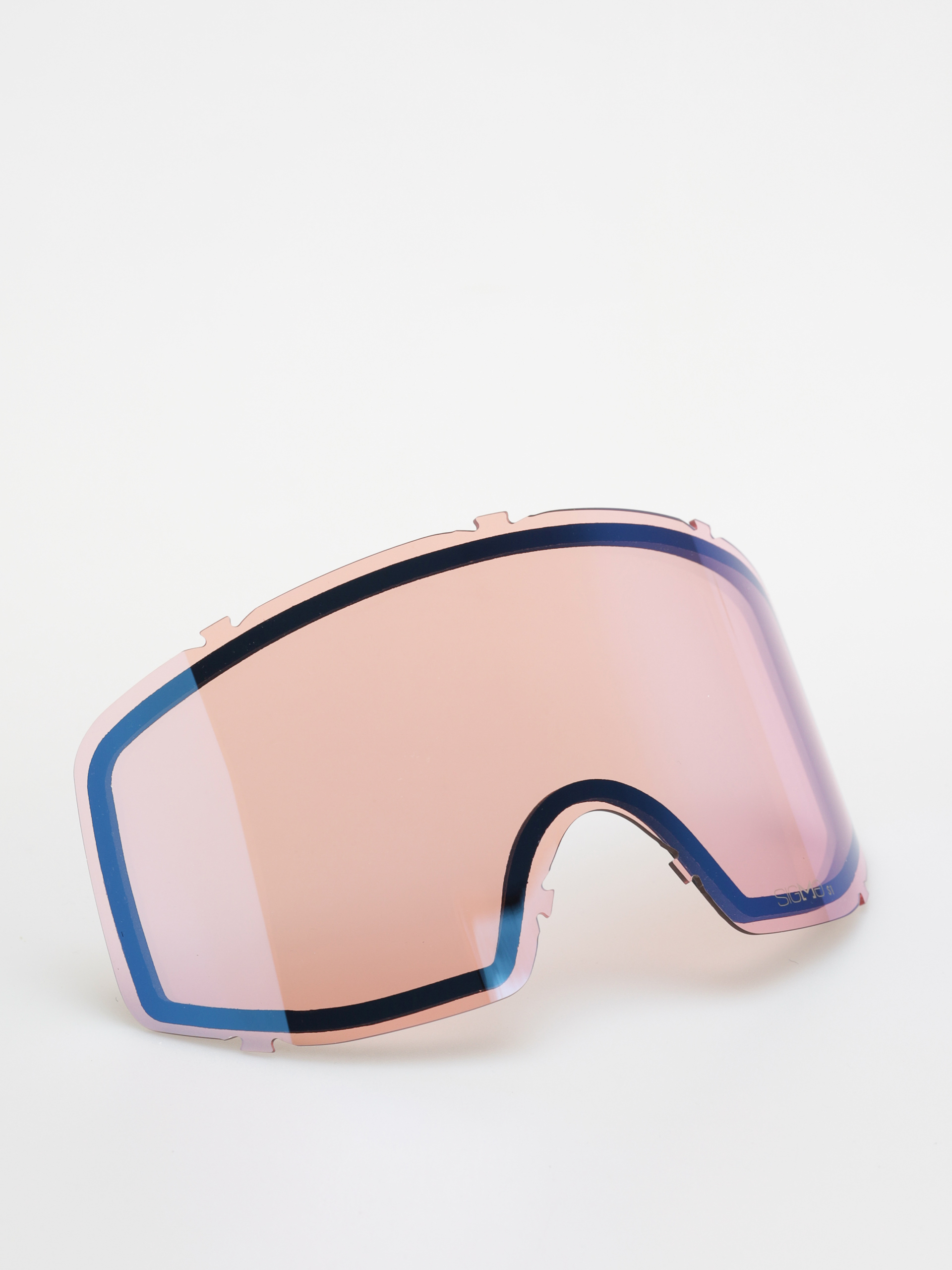 Salomon Goggles Sentry Pro Sigma (greyvio/pr/lb)