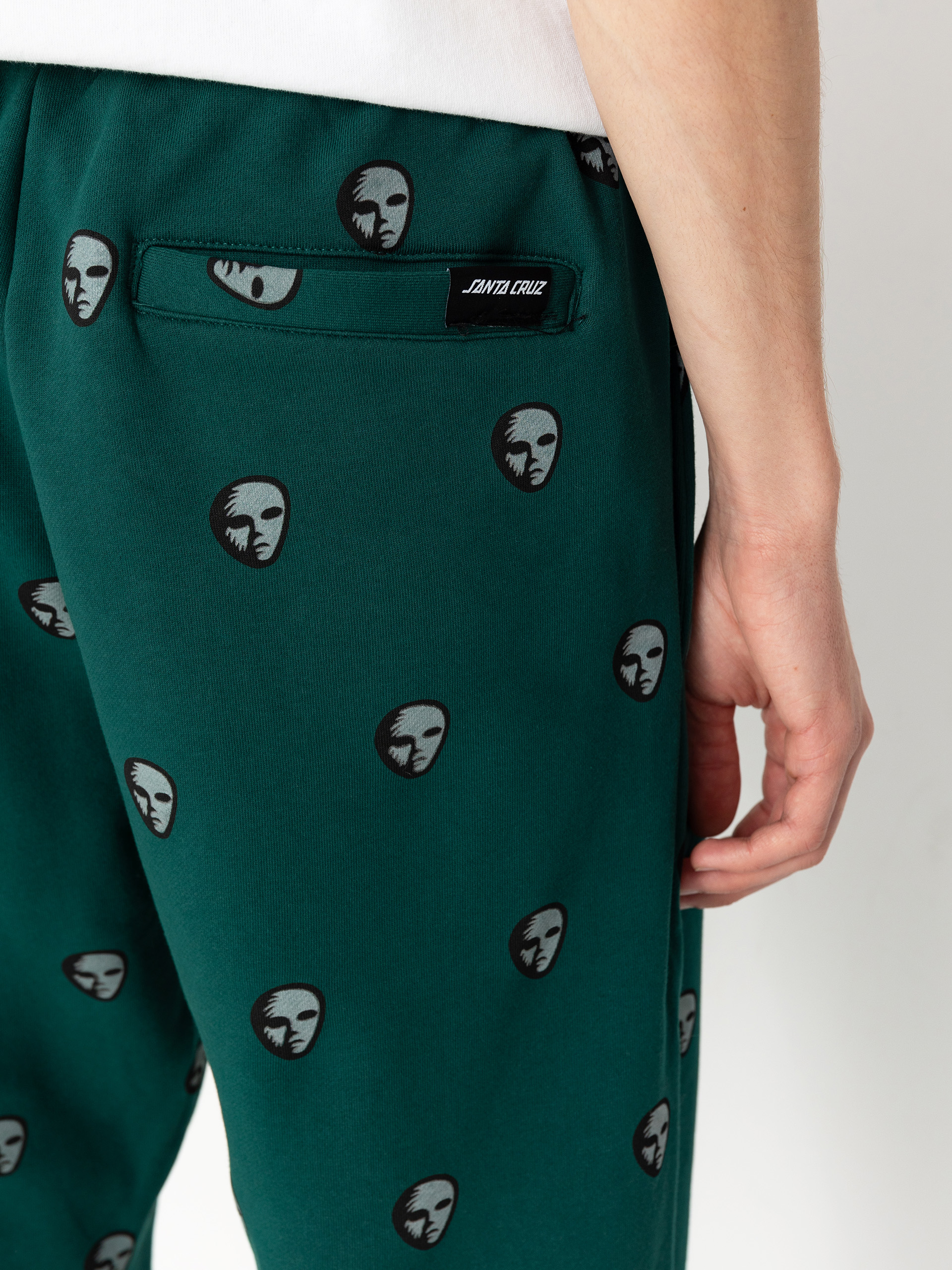 Santa Cruz Pants Watcher Jogger (rainforest)