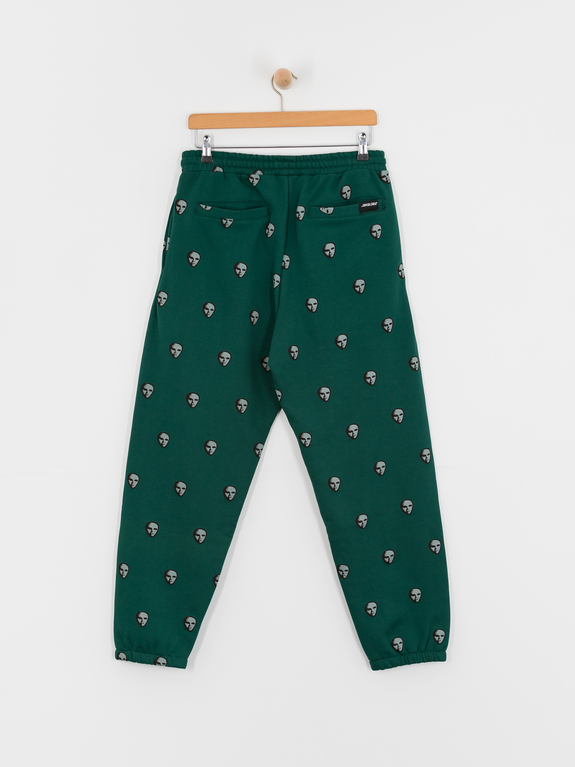 Santa Cruz Pants Watcher Jogger (rainforest)