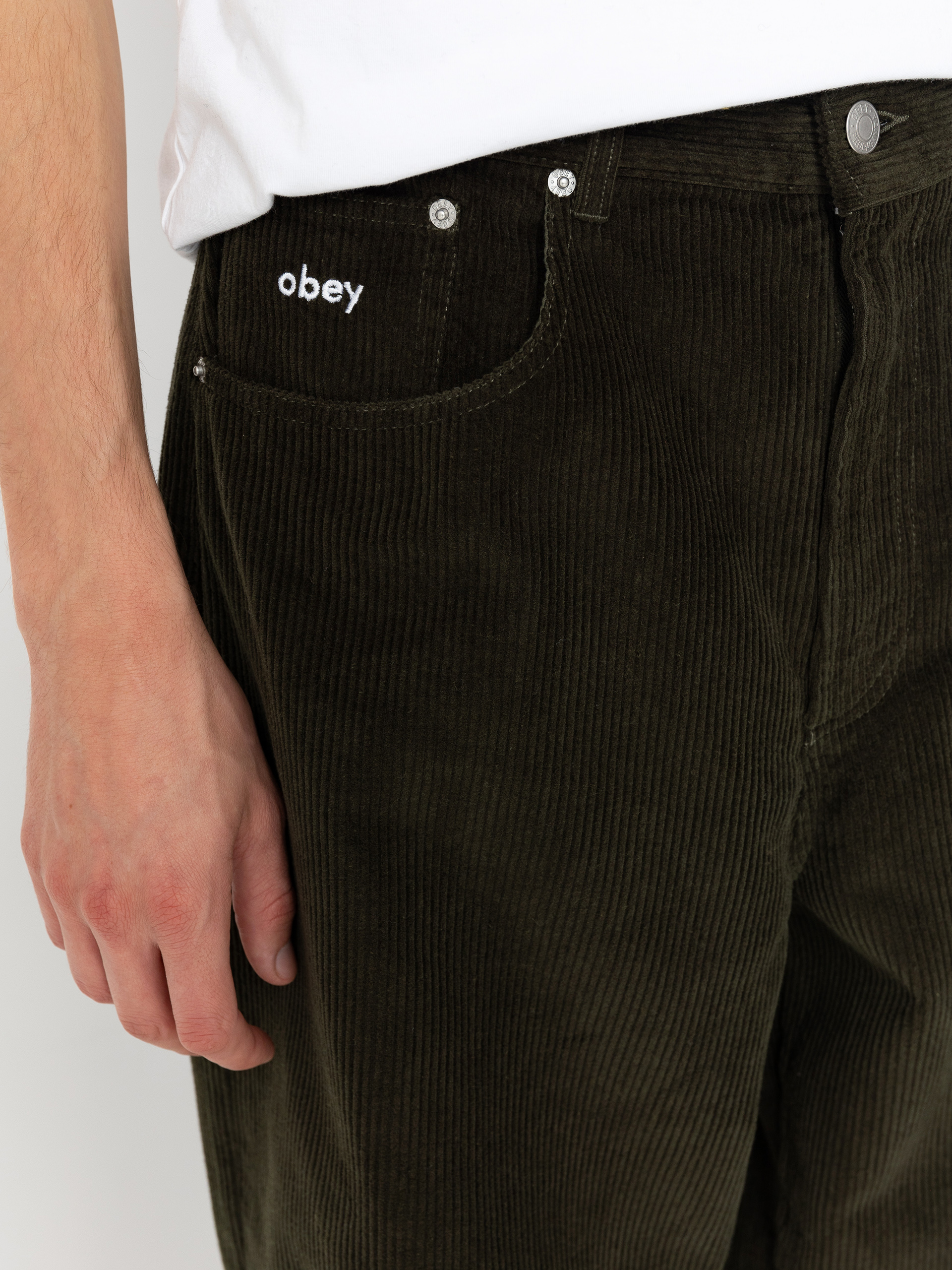 OBEY Bigwig Baggy Corduroy Hose (rosin)