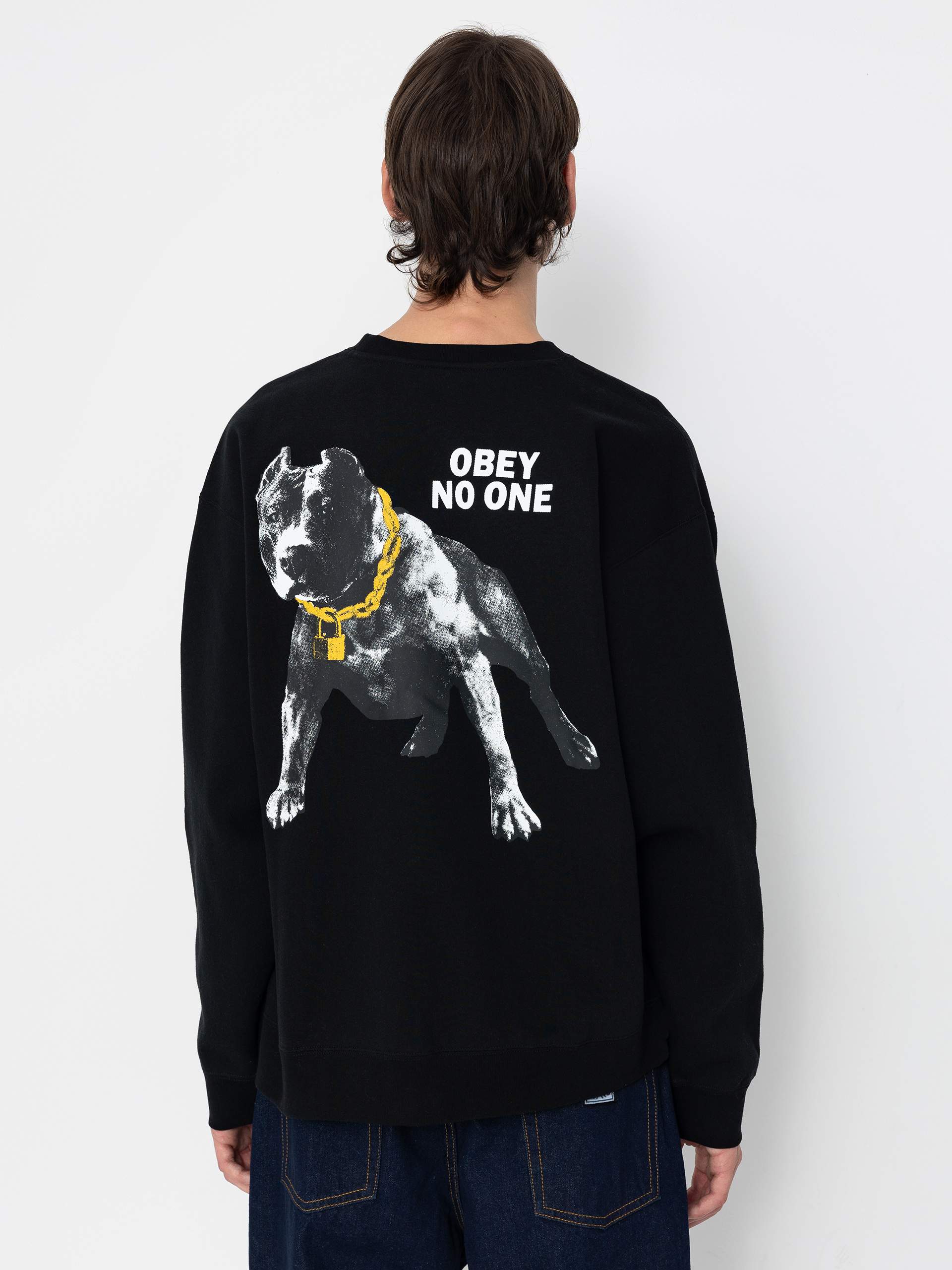 OBEY Sweatshirt No One (black)