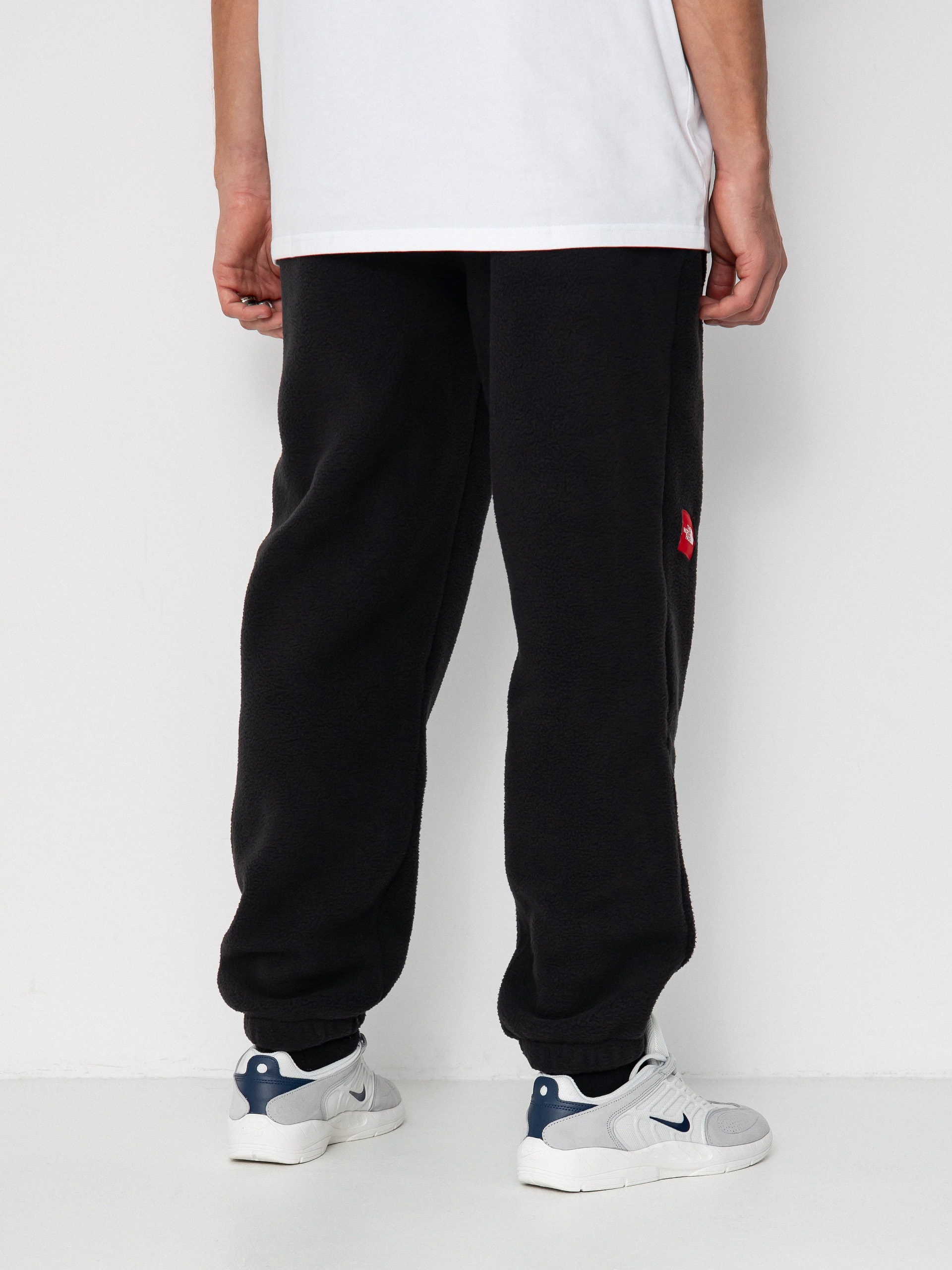 M RIPSTOP DENALI PANT | The North Face | The North Face Renewed