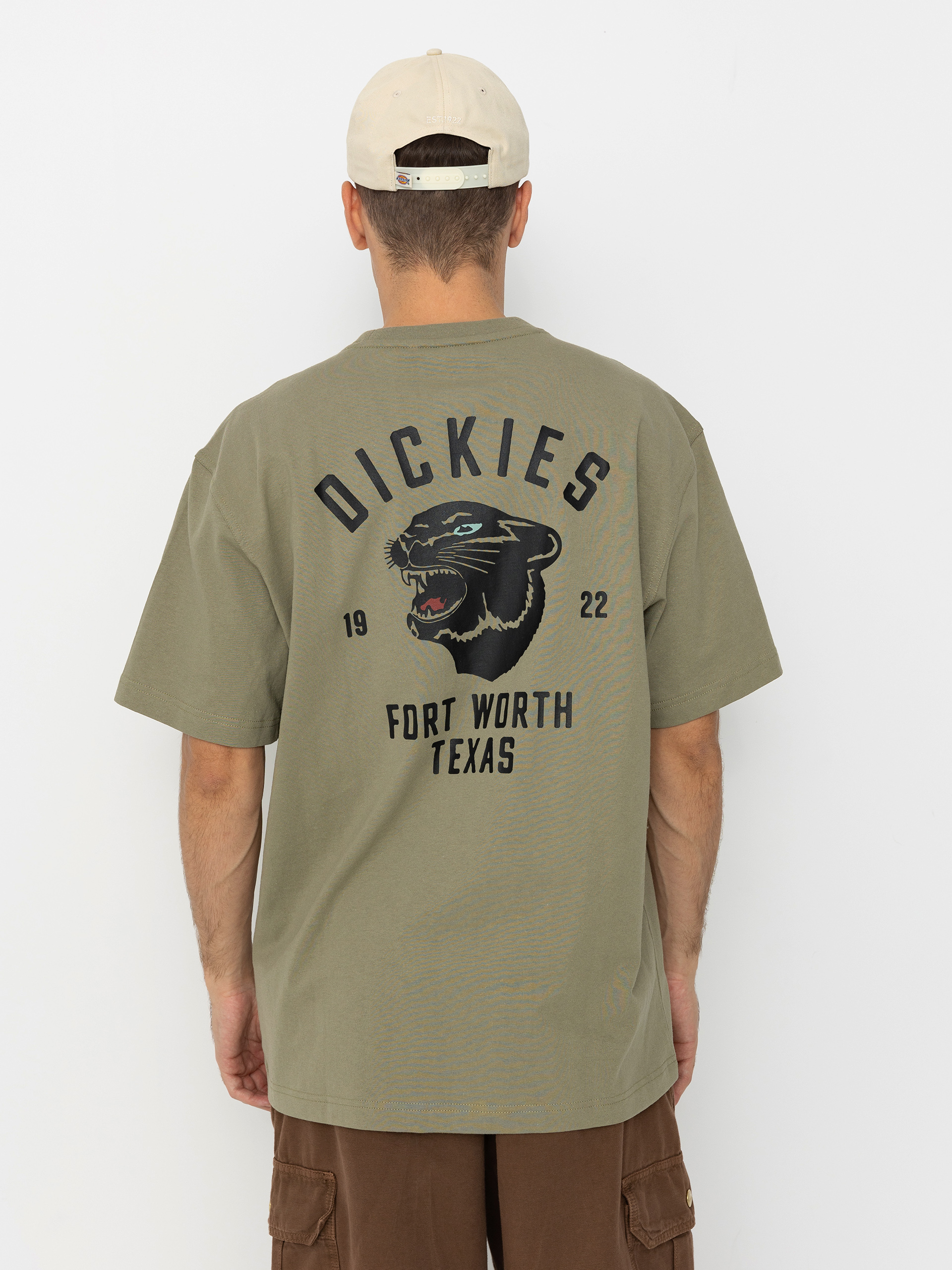 Dickies Panther T-Shirt - green (imperial green)