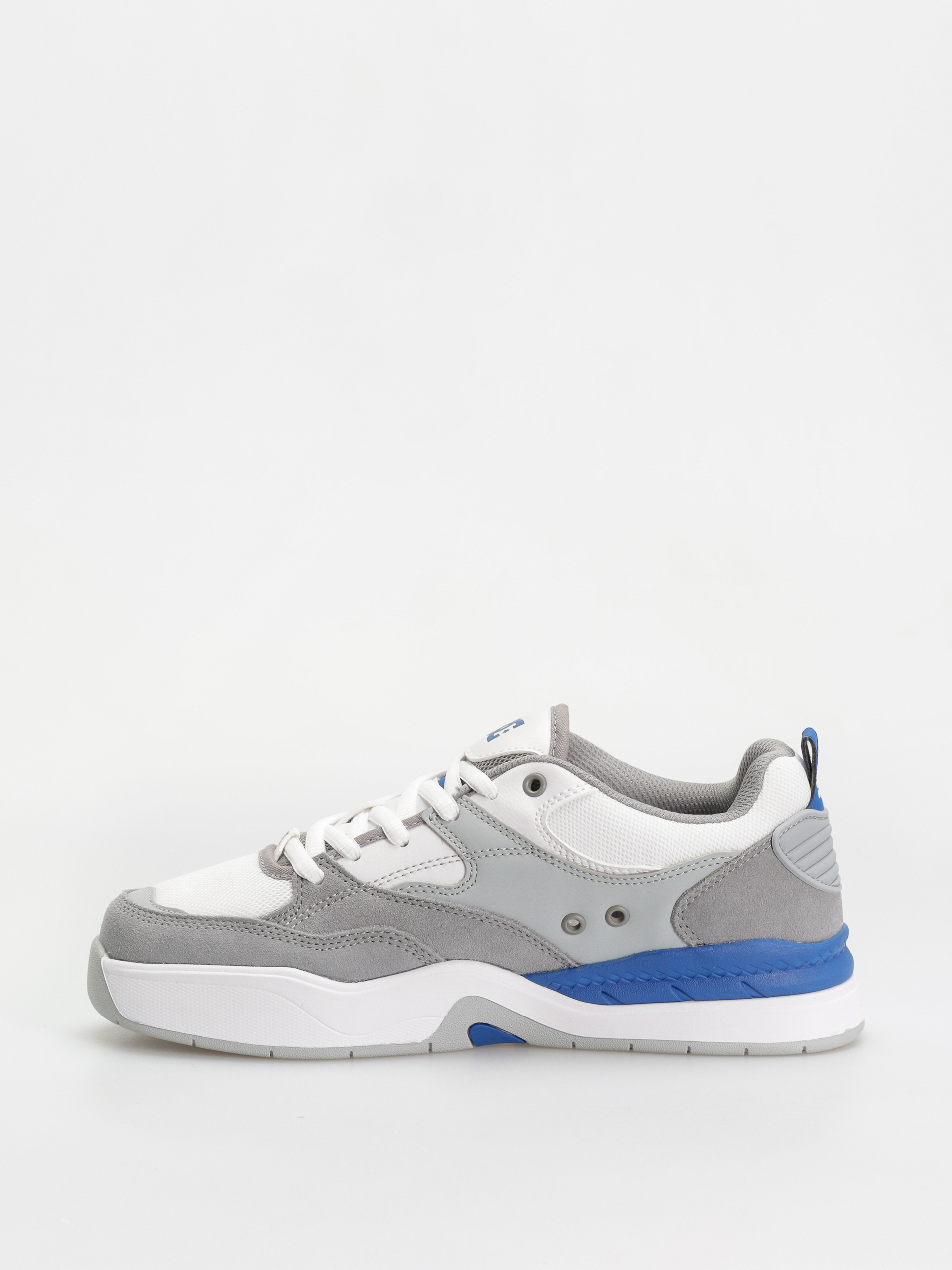 DC Ascend Shoes (white/grey/blue)