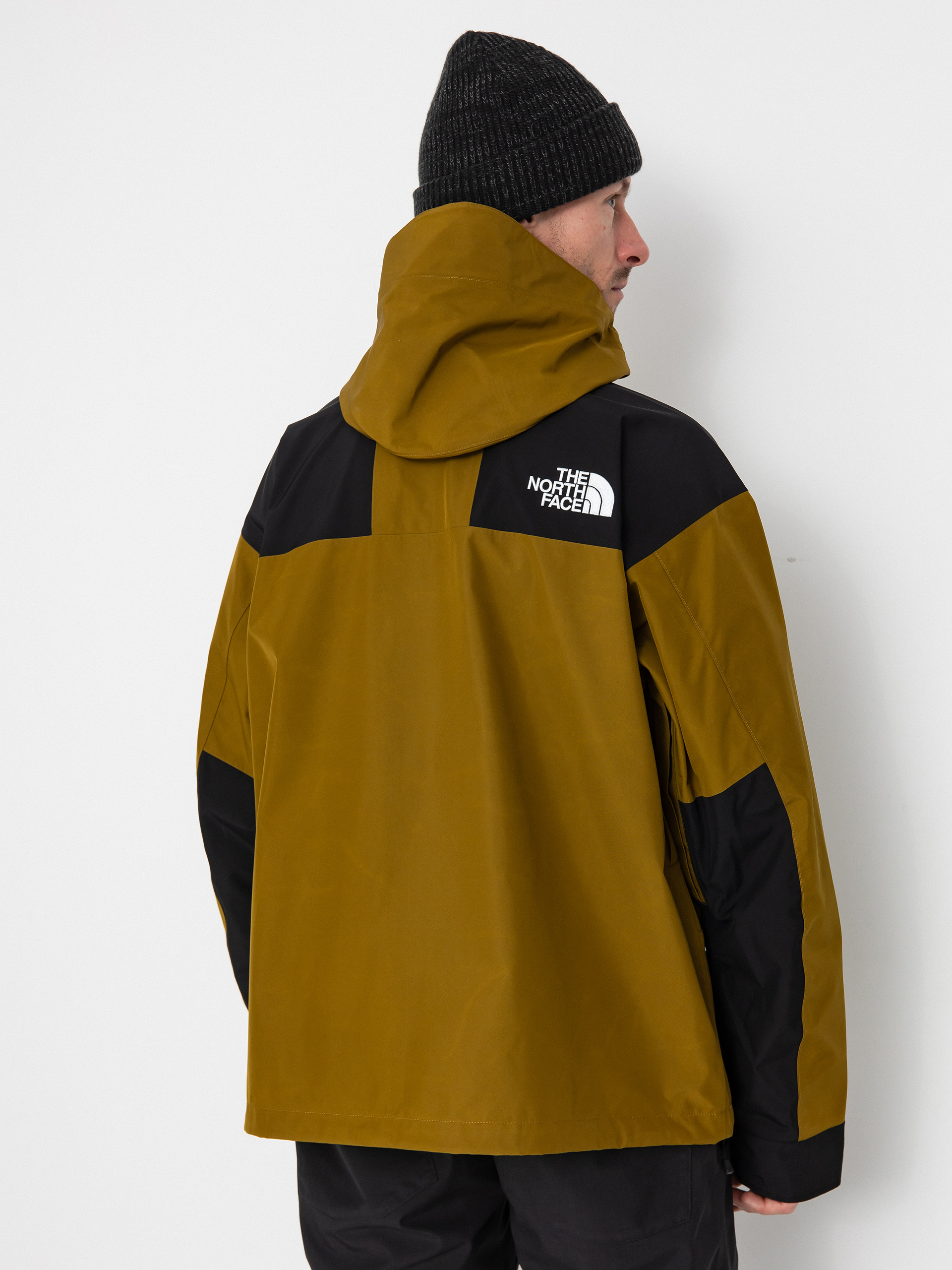 The North Face Gtx Mtn Jacke (moss green/tnf black)