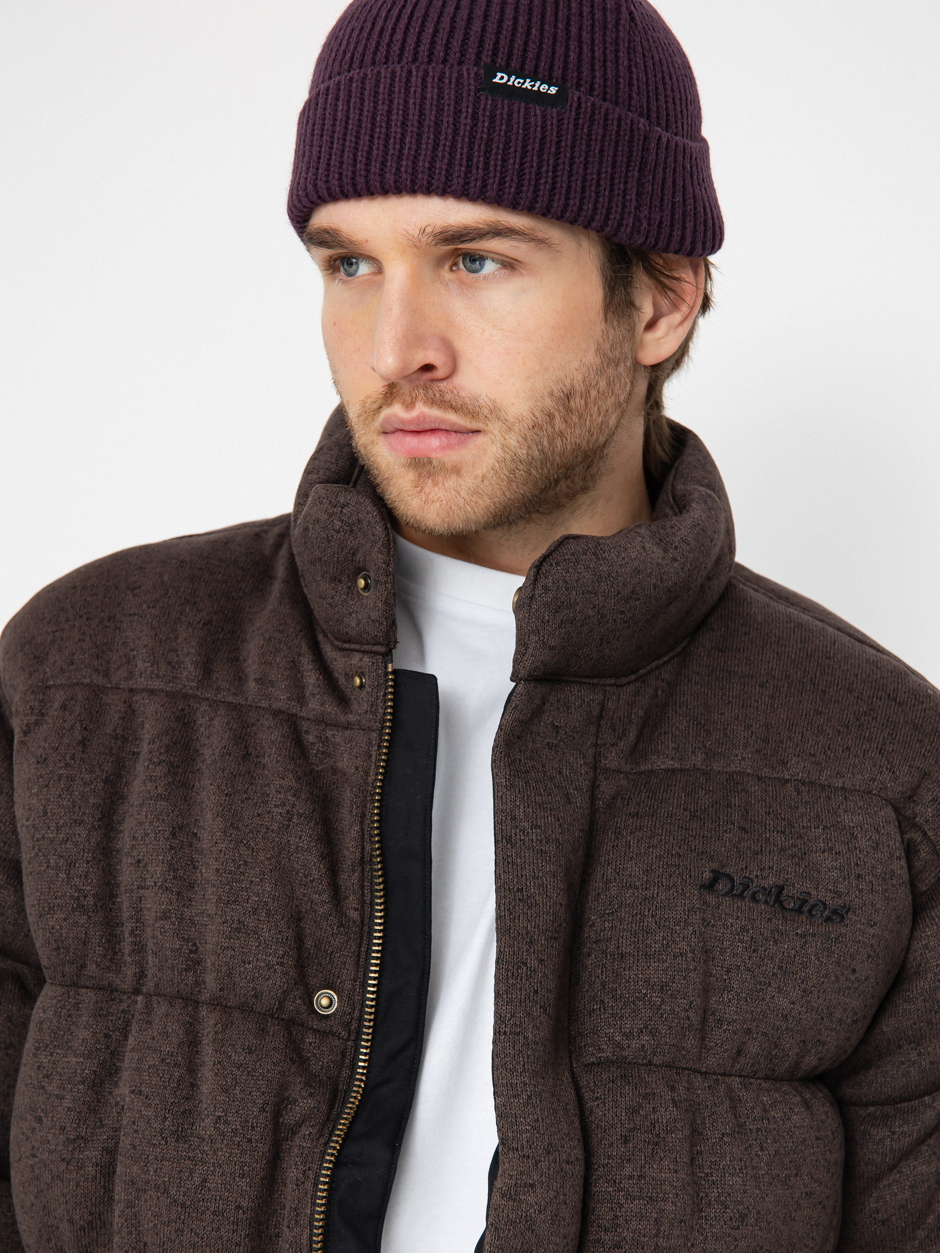Dickies Jacket Baker Puffer (black)
