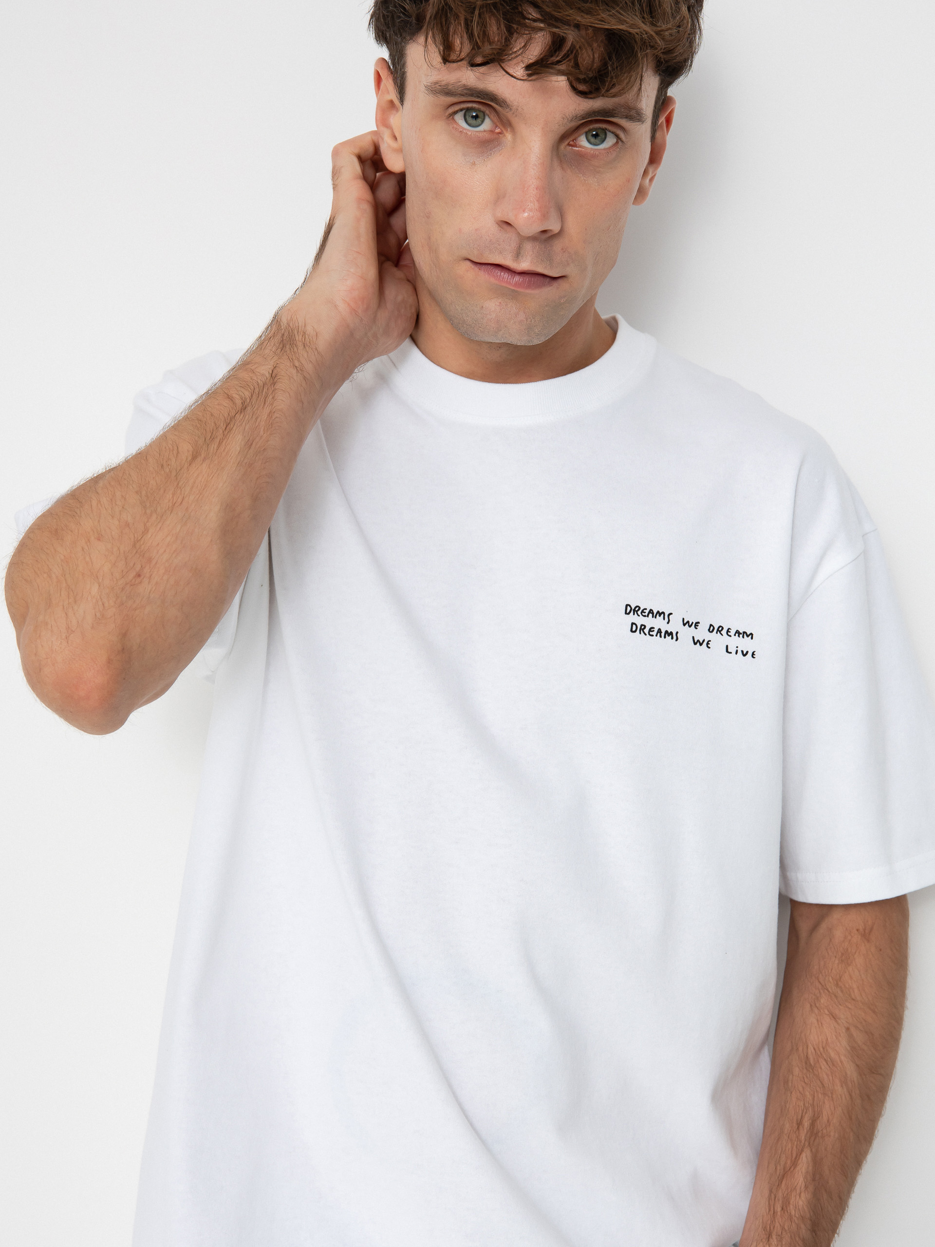 Polar Skate T-Shirt Dreams We Dream (white)