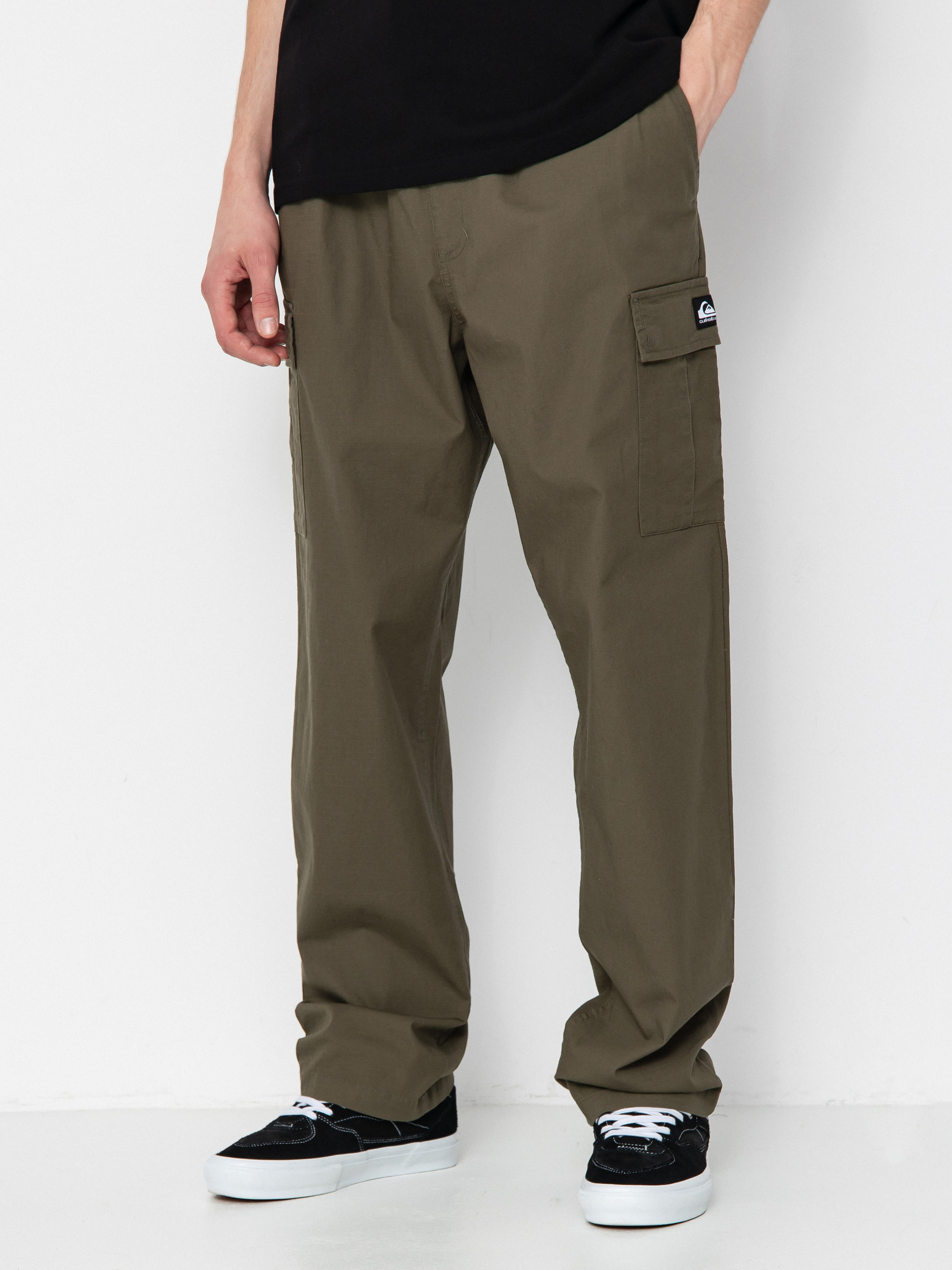Mens Pants Beach Cargo Pants Quiksilver Dna Beach Cargo Pants Green (grape  Leaf)