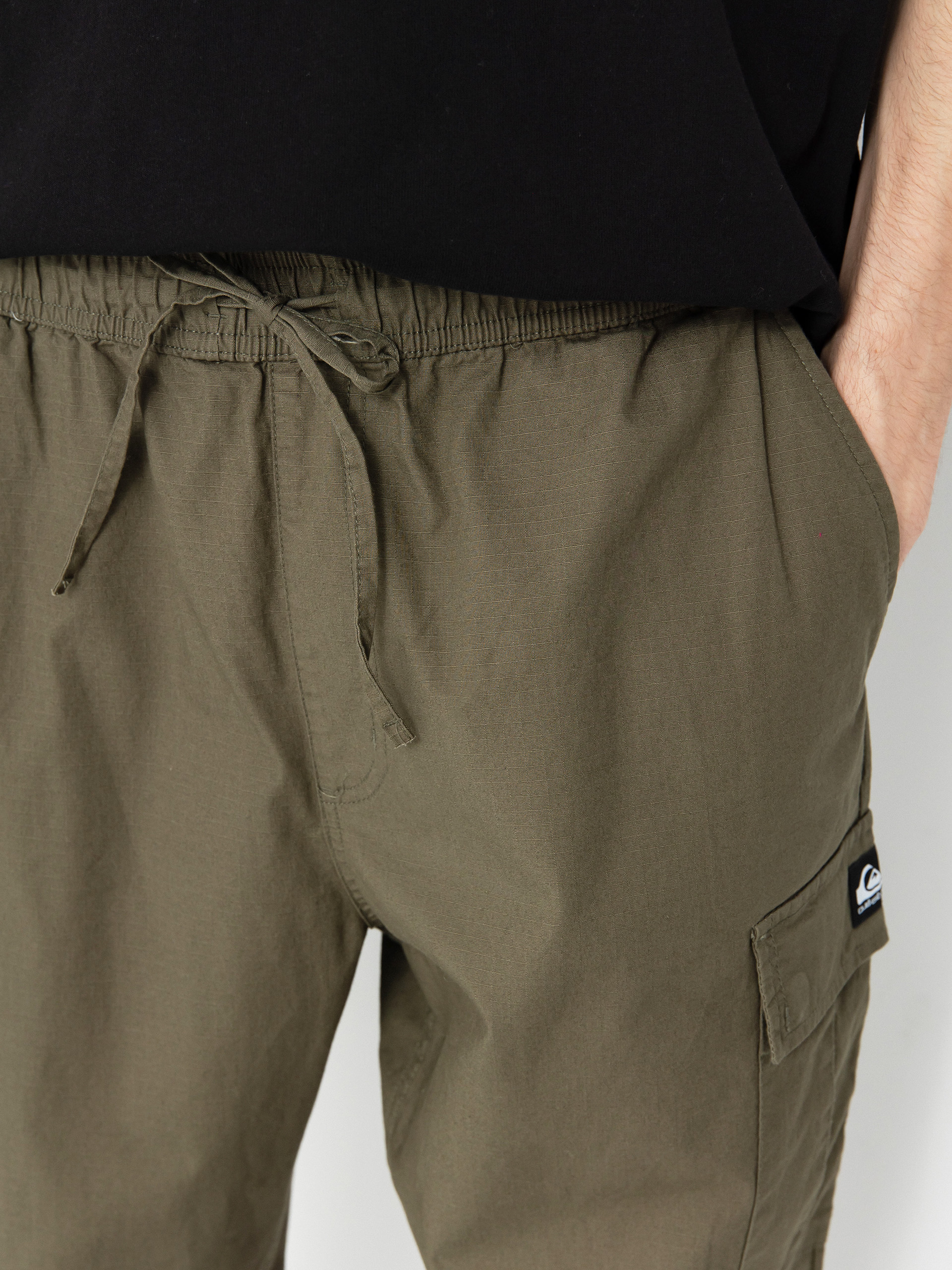 Quiksilver Dna Beach Cargo Pants (grape leaf)