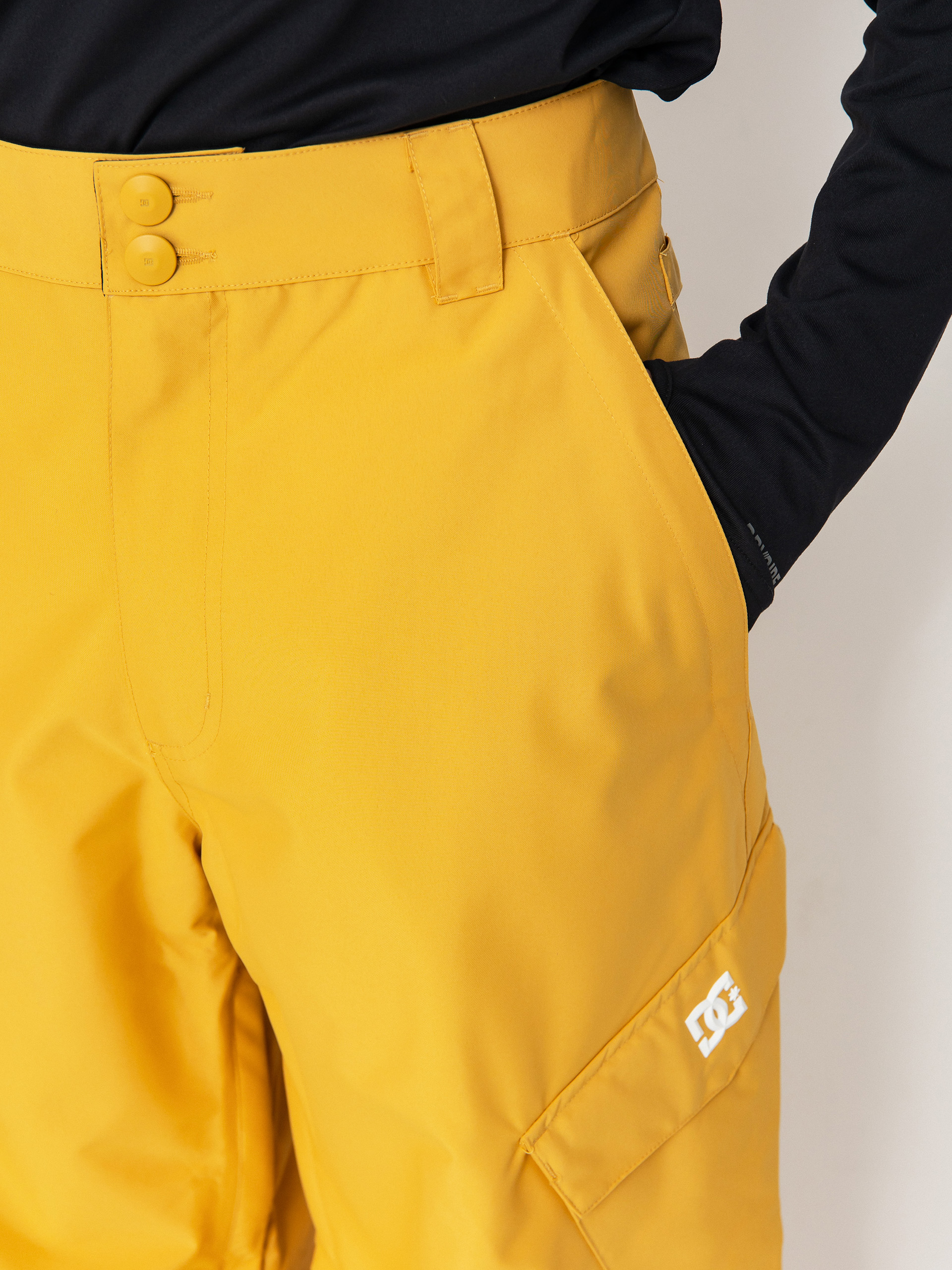 Mens DC Snowboard pants Banshee (tinsel)