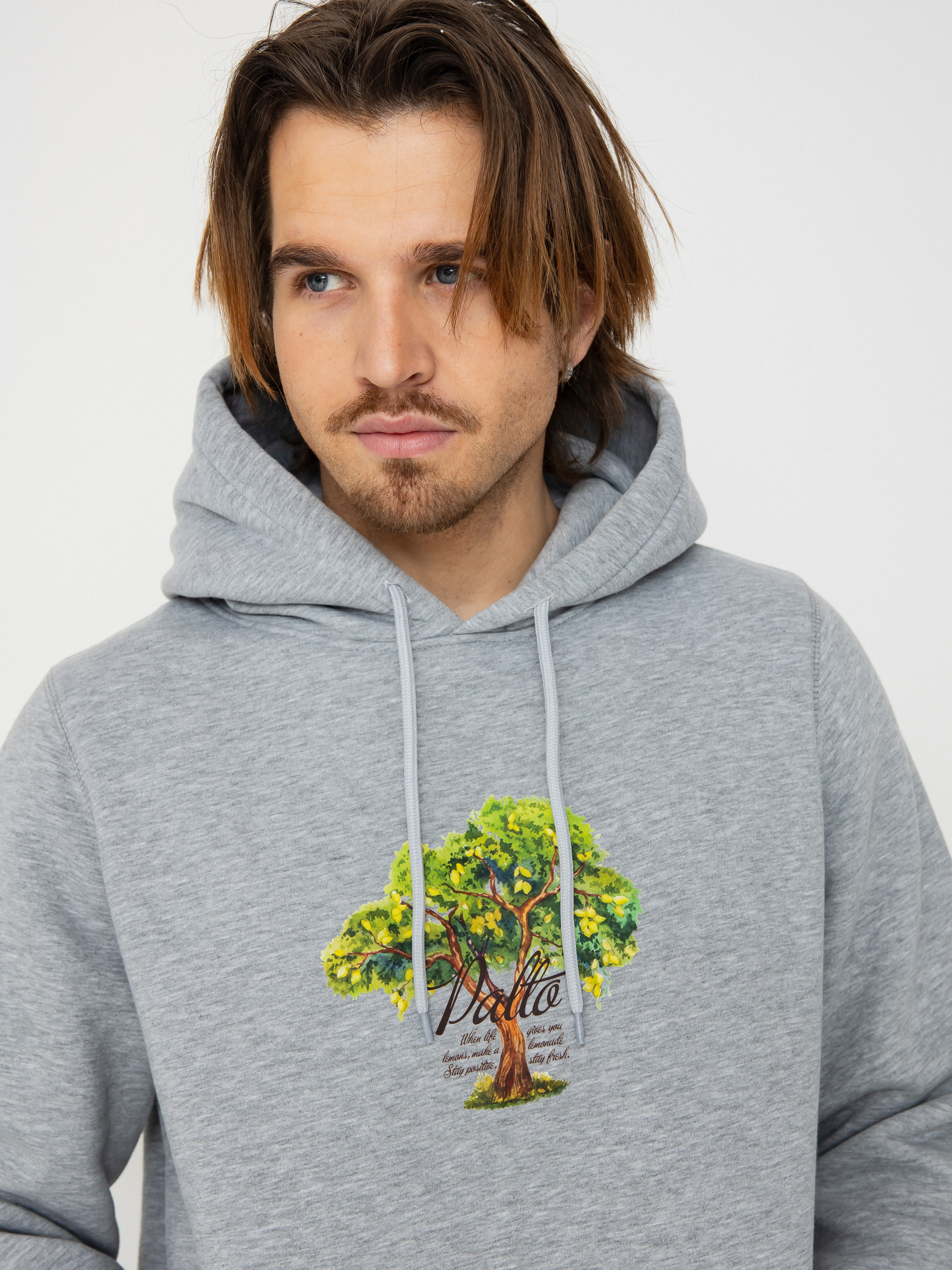 Palto Lemon Tree HD Hoodie (grey)