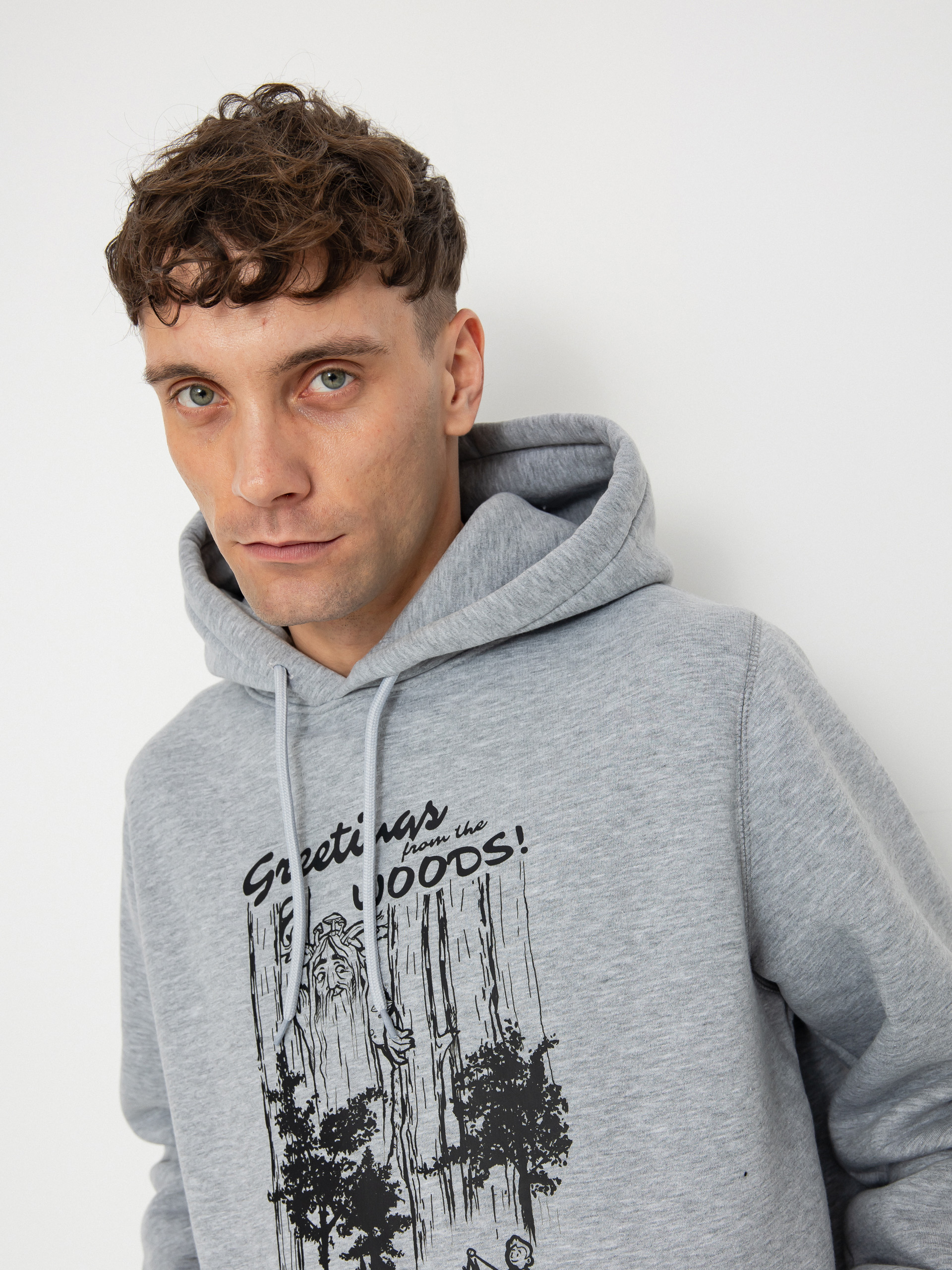 Palto Crypid HD Hoodie (grey)