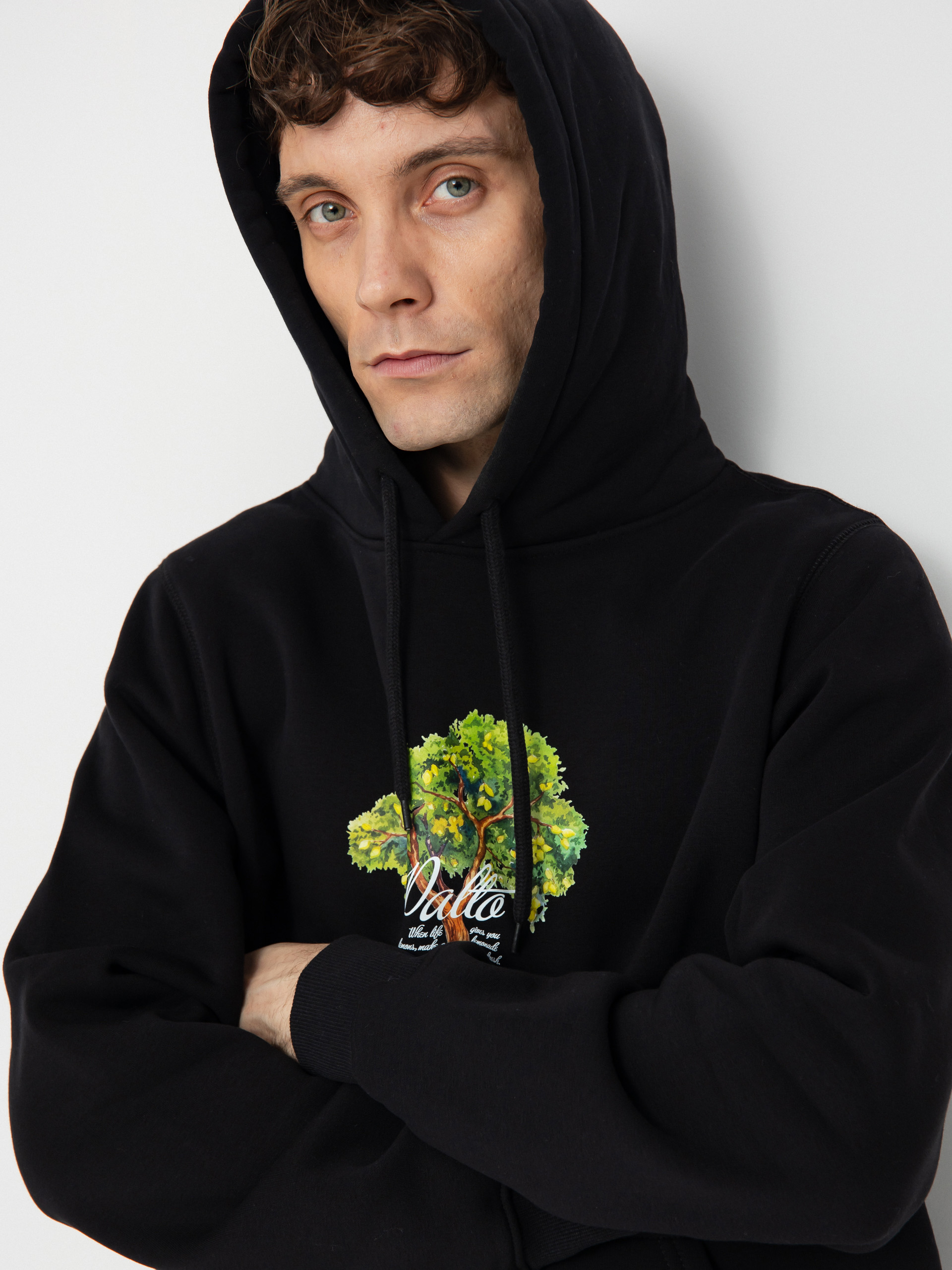 Palto Lemon Tree HD Hoodie (black)
