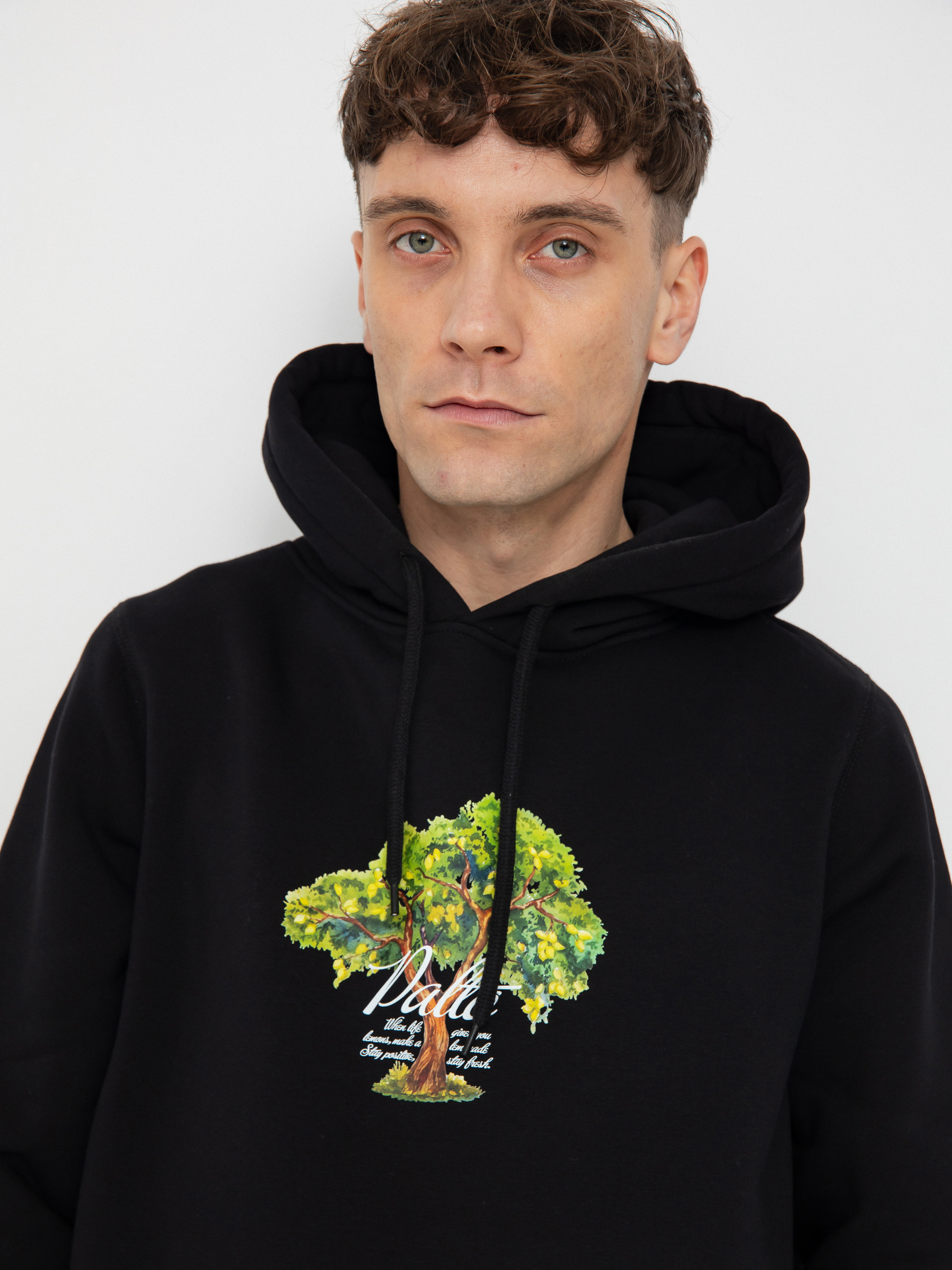 Palto Lemon Tree HD Hoodie (black)