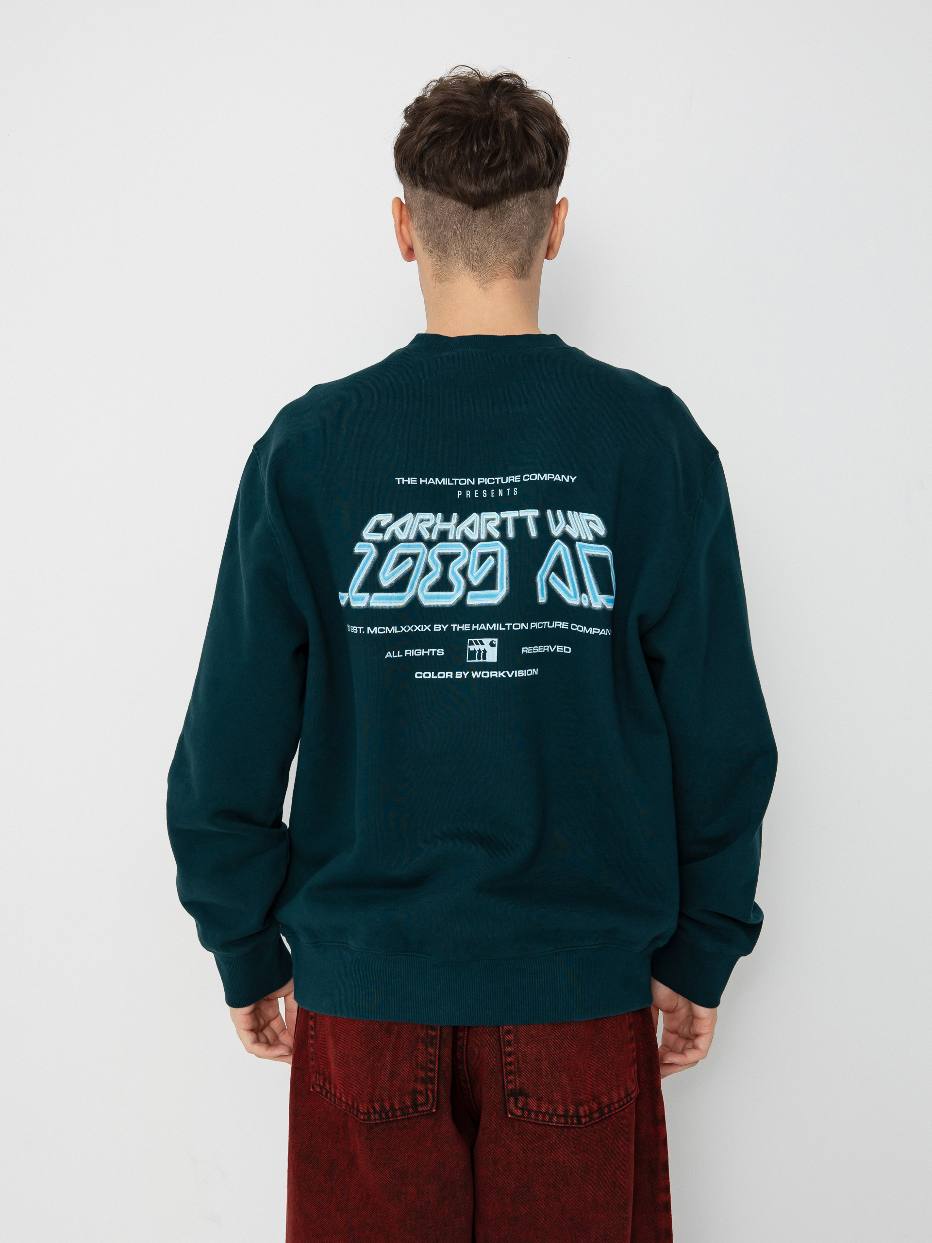 Carhartt WIP Bubbles Sweatshirt - green (discovery green/green)