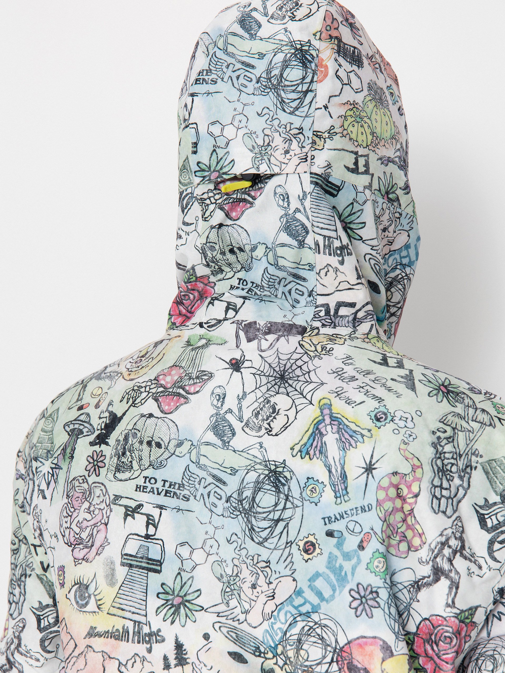 Mens DC Snowboard jacket Basis Print (vision quest)