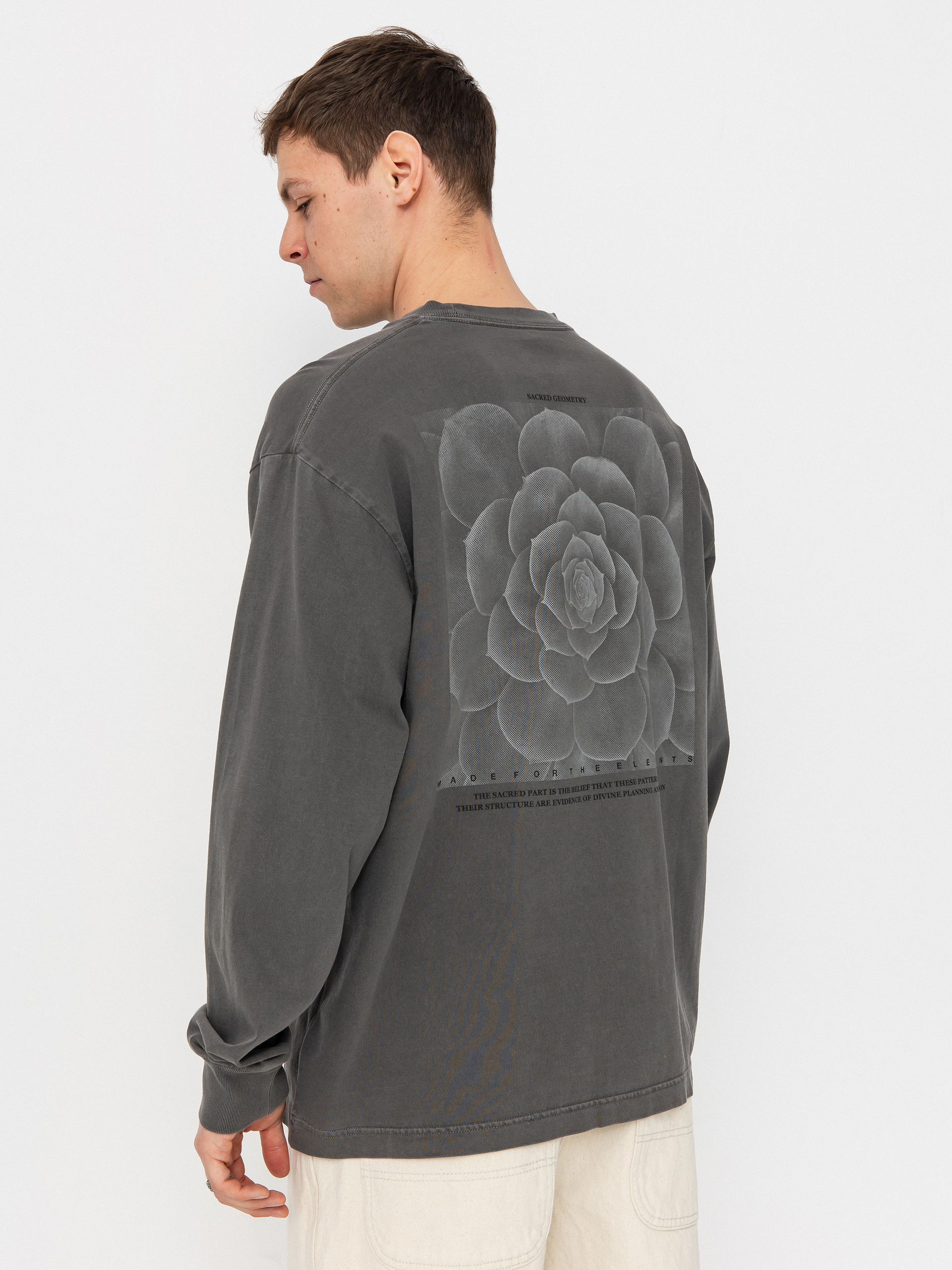 Vans Mte Divine Symmetry Longsleeve - black (black)