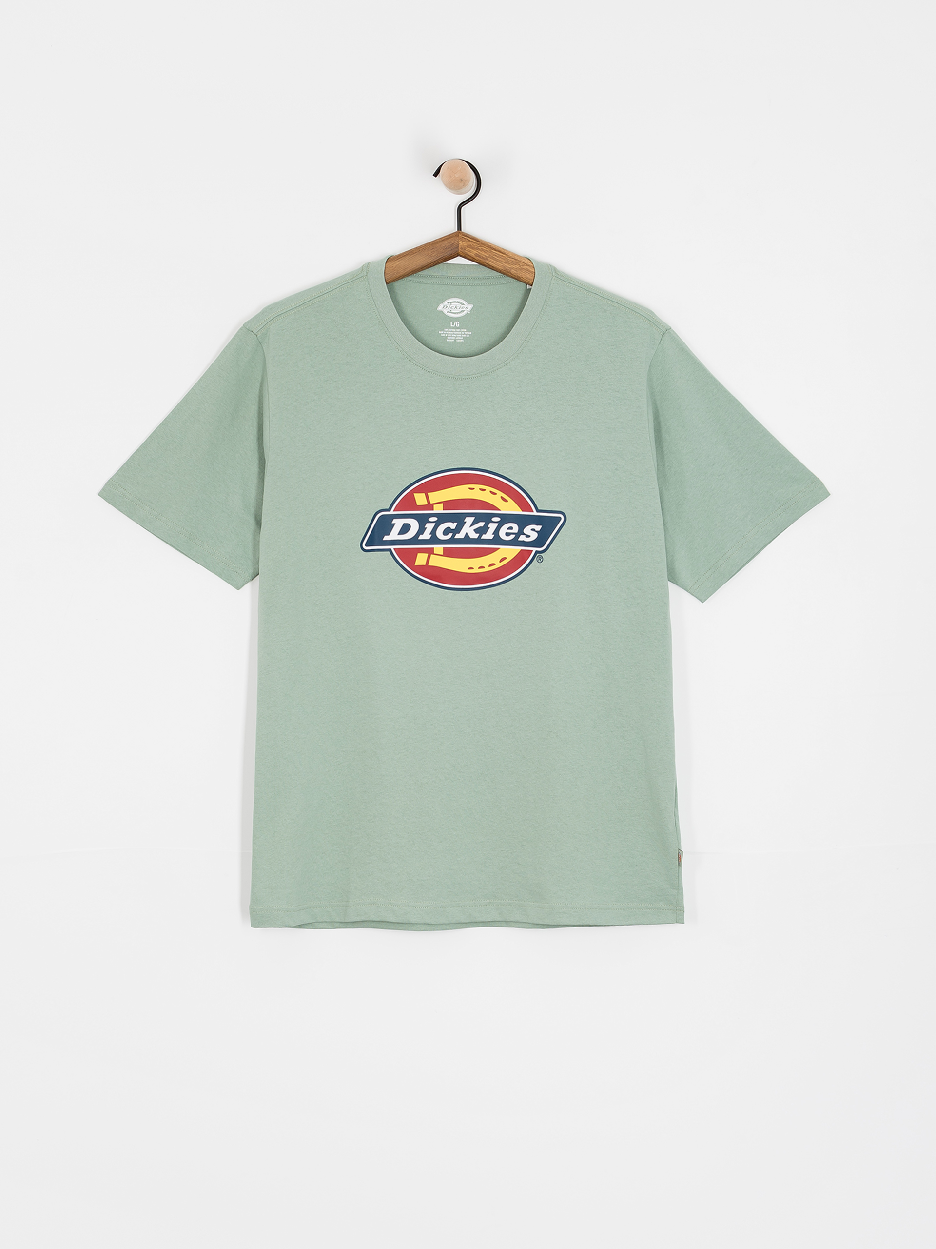 Dickies Icon Logo T-Shirt (iceberg green)