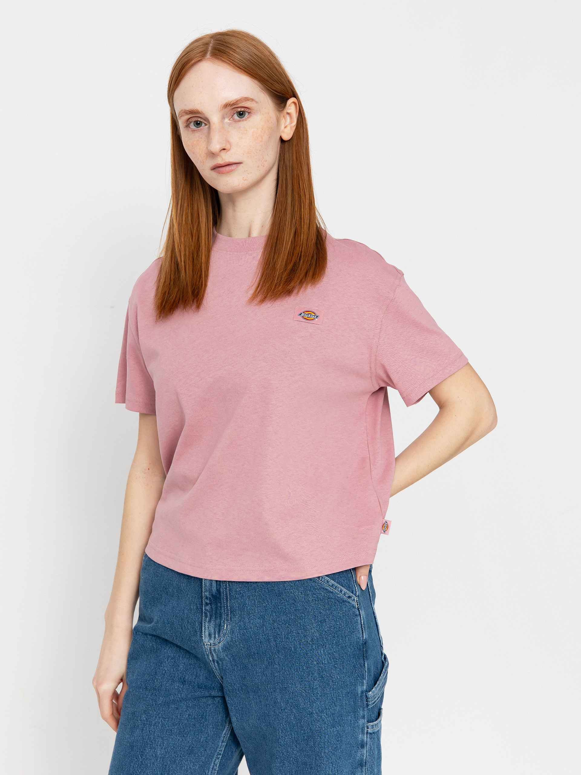 Dickies Oakport Boxy Wmn T-Shirt (lilas)