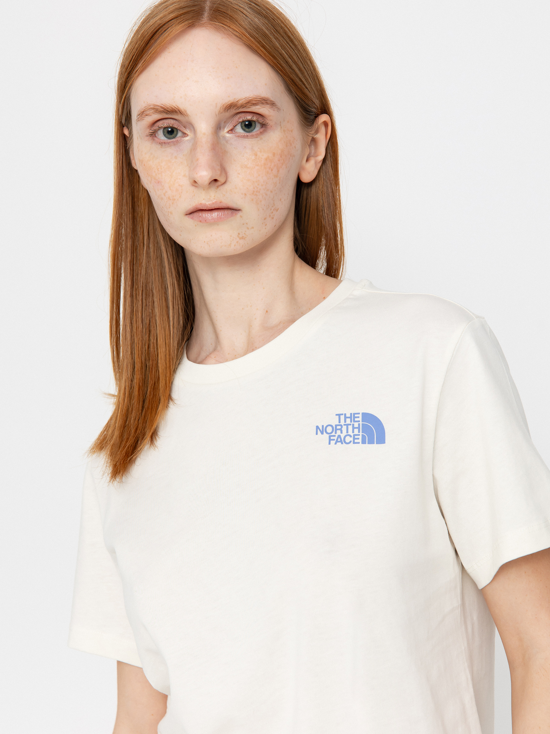 The North Face Box Nse Tailgrid Infill Relaxed Wmn T-Shirt (white dune/virtual blue)