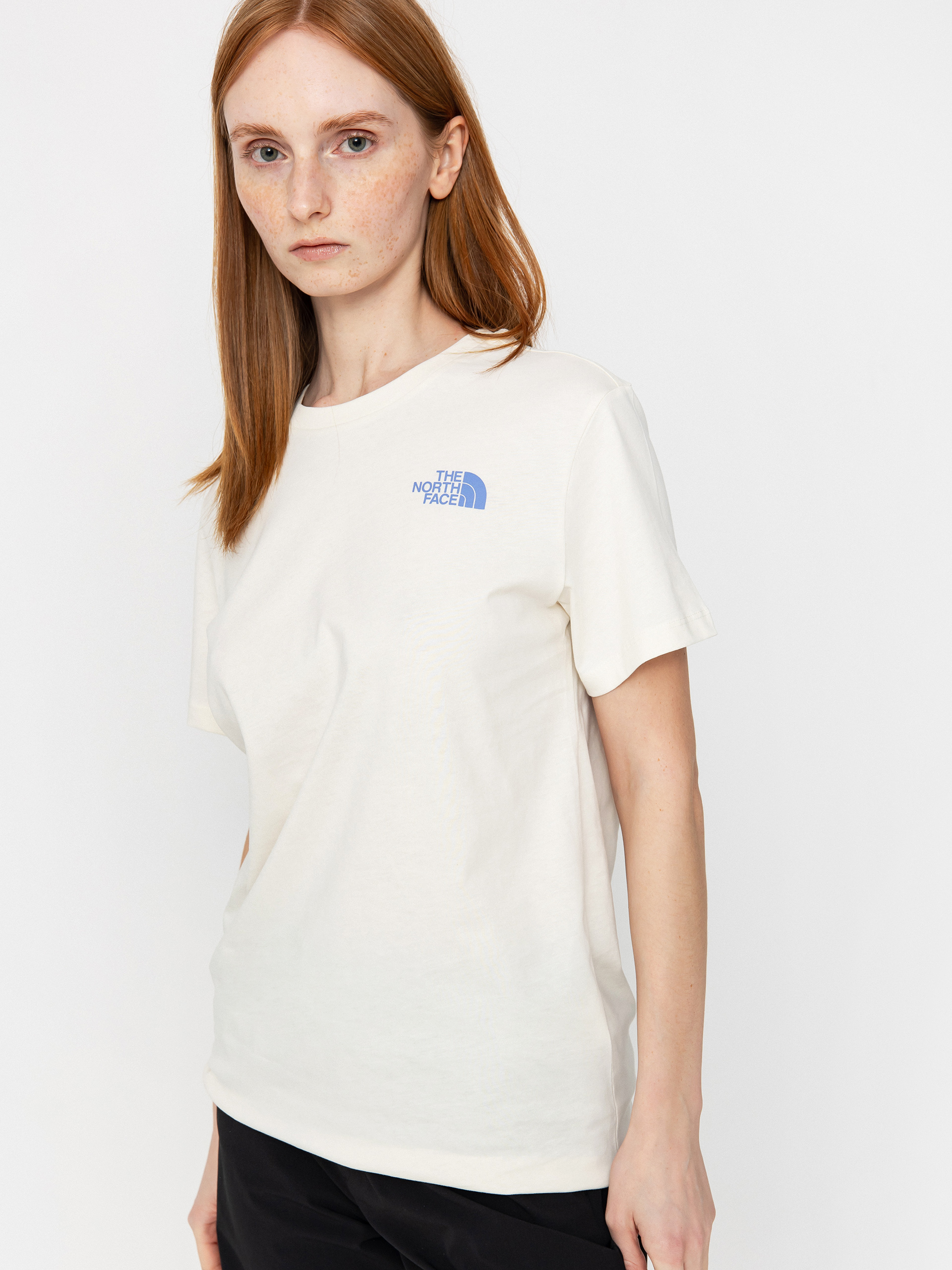 The North Face Box Nse Tailgrid Infill Relaxed Wmn T-Shirt (white dune/virtual blue)