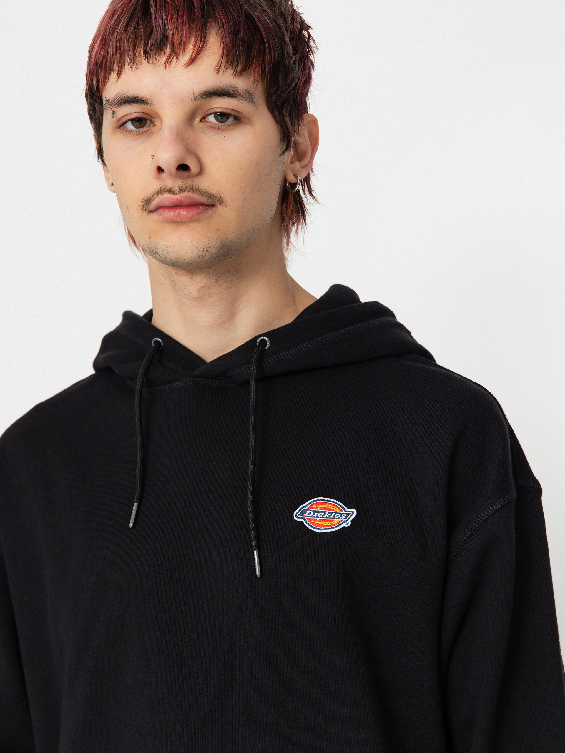 Dickies Millersburg HD Hoodie (black)