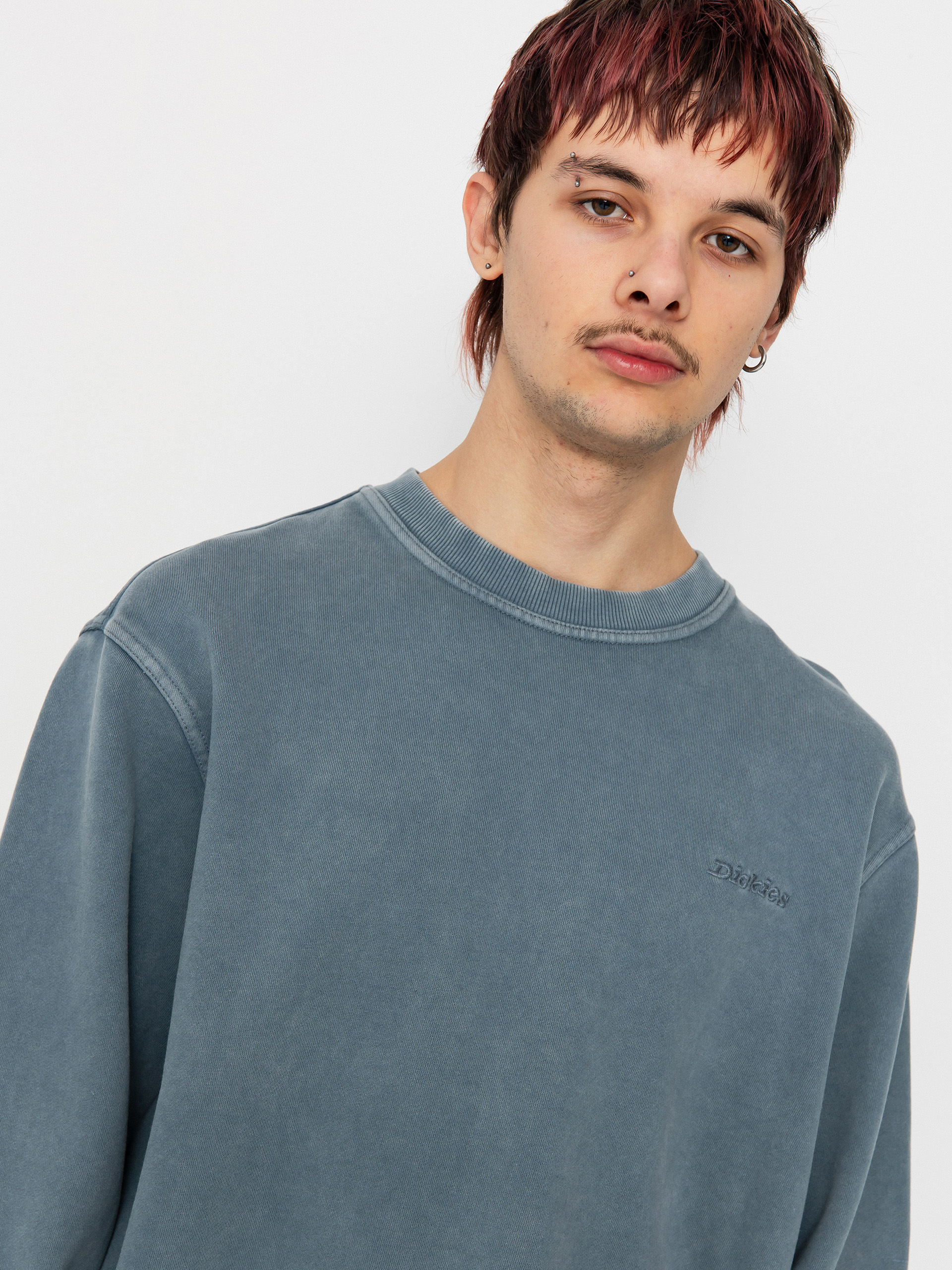 Dickies Plentywood Sweatshirt (stormy weather)