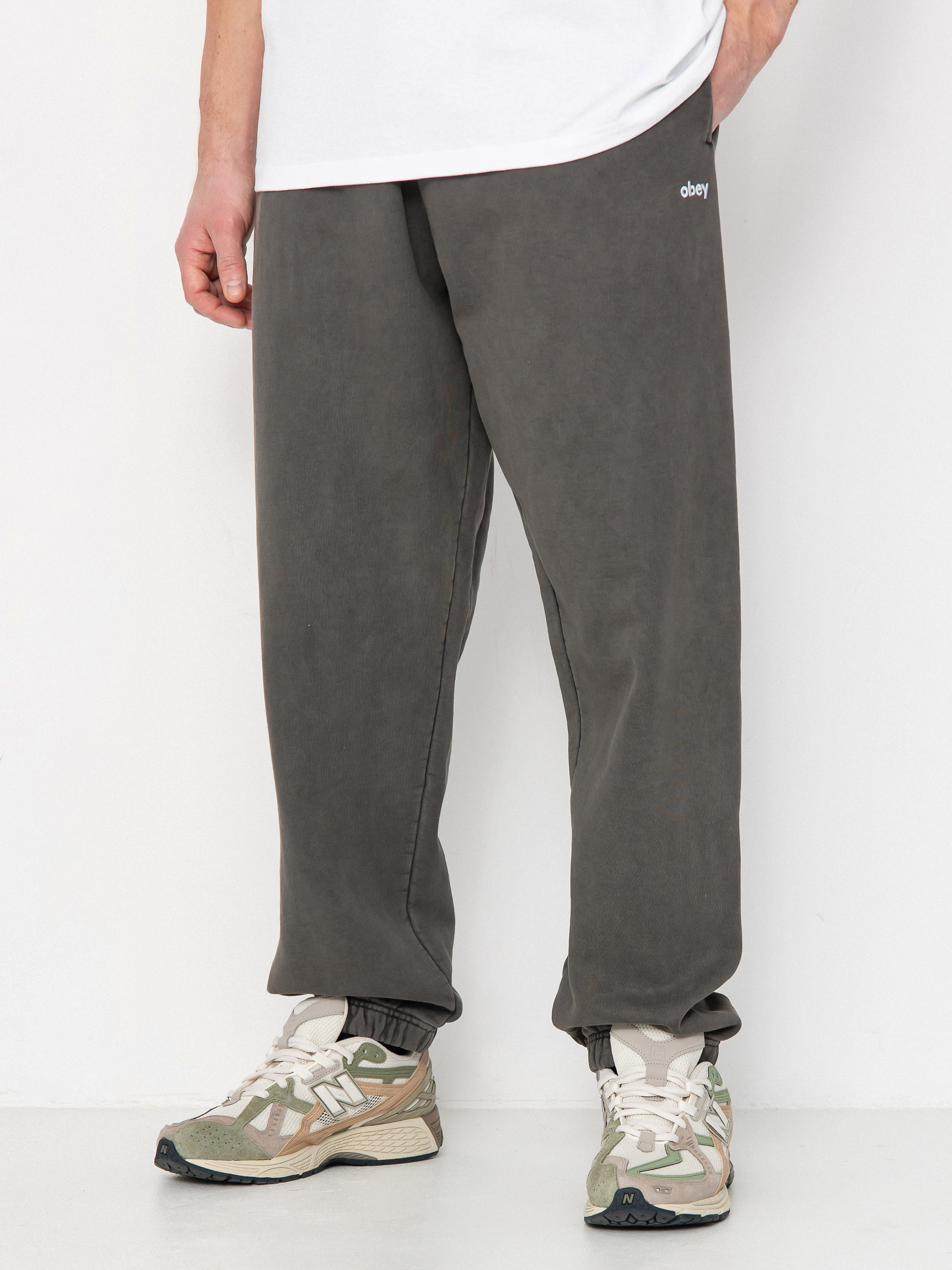 OBEY Lowercase Pigment Pants