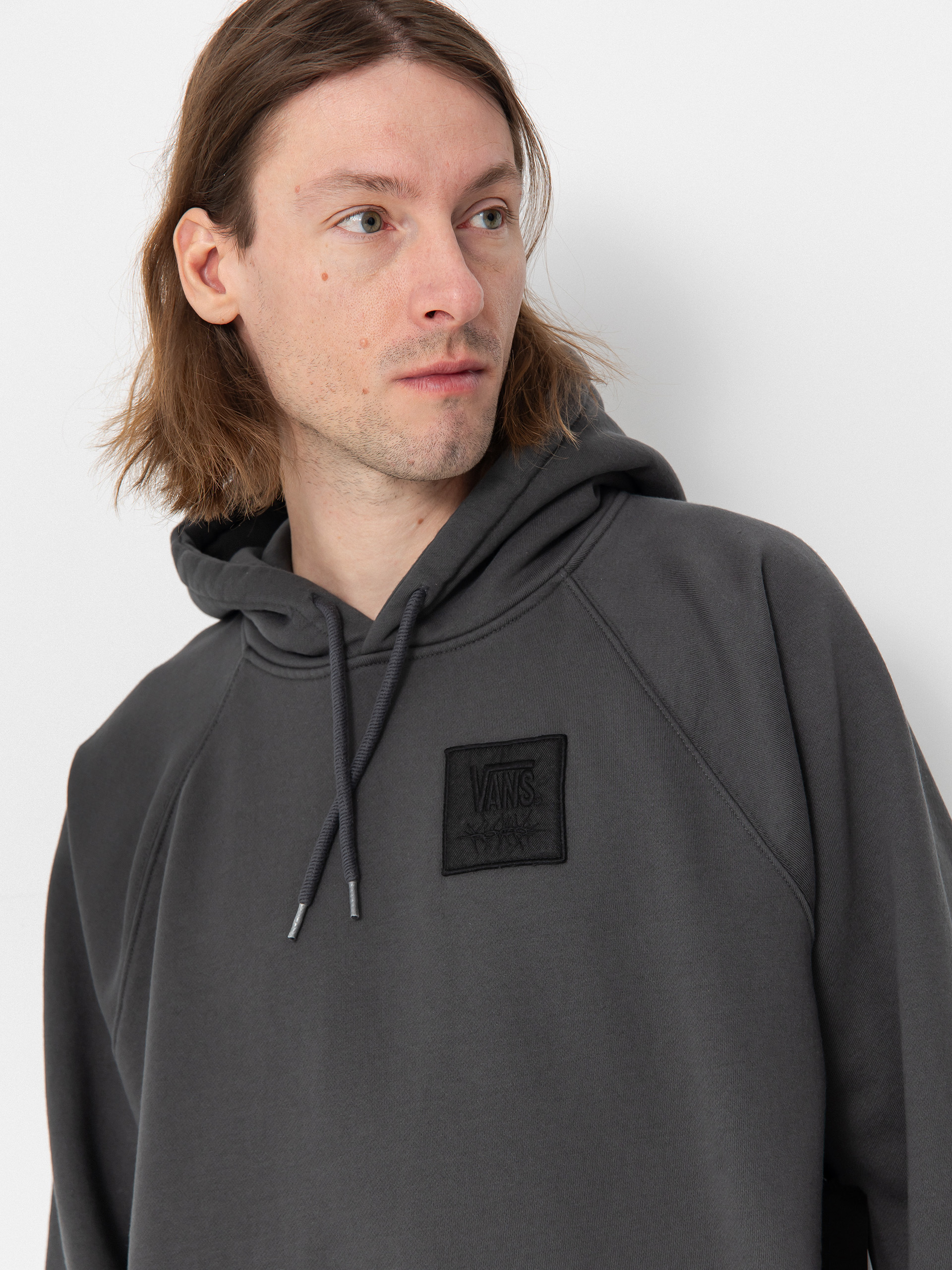 Vans Mte Craggy Peaks HD Hoodie (asphalt)