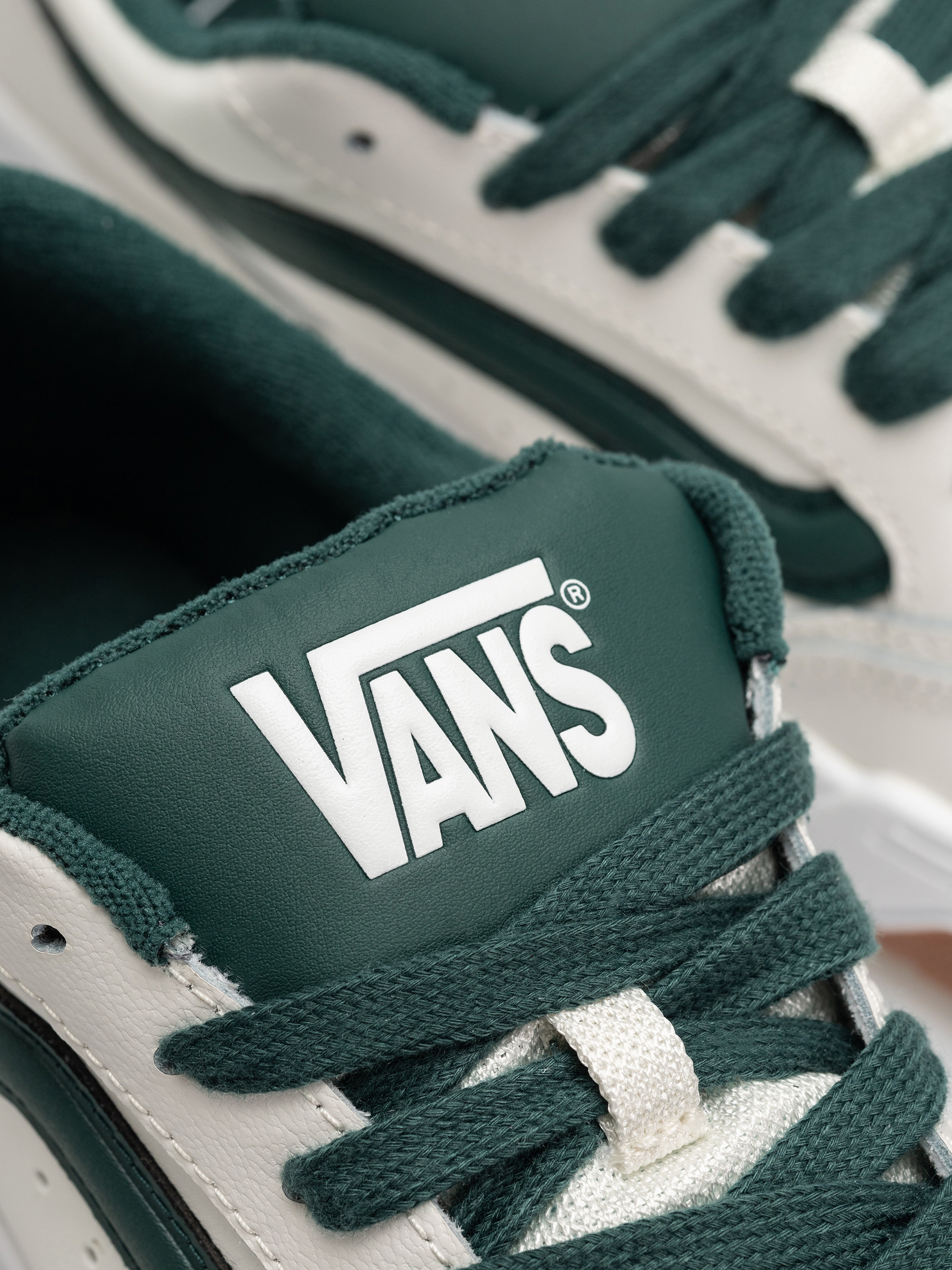 Vans Hylane Schuhe (varsity white/green)