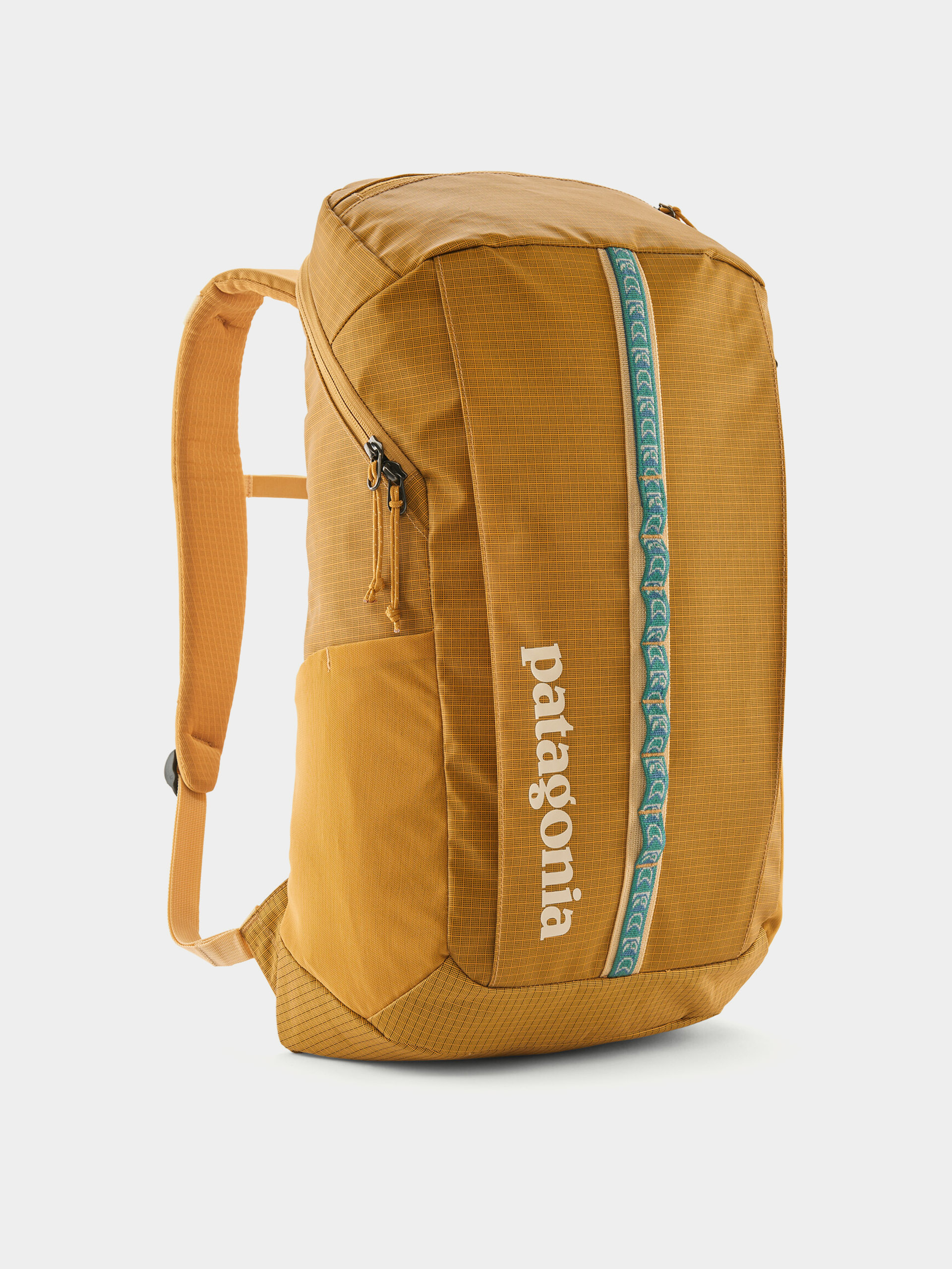 Patagonia Backpack Black Hole Pack 25L (pufferfish gold w/beeswax tan)