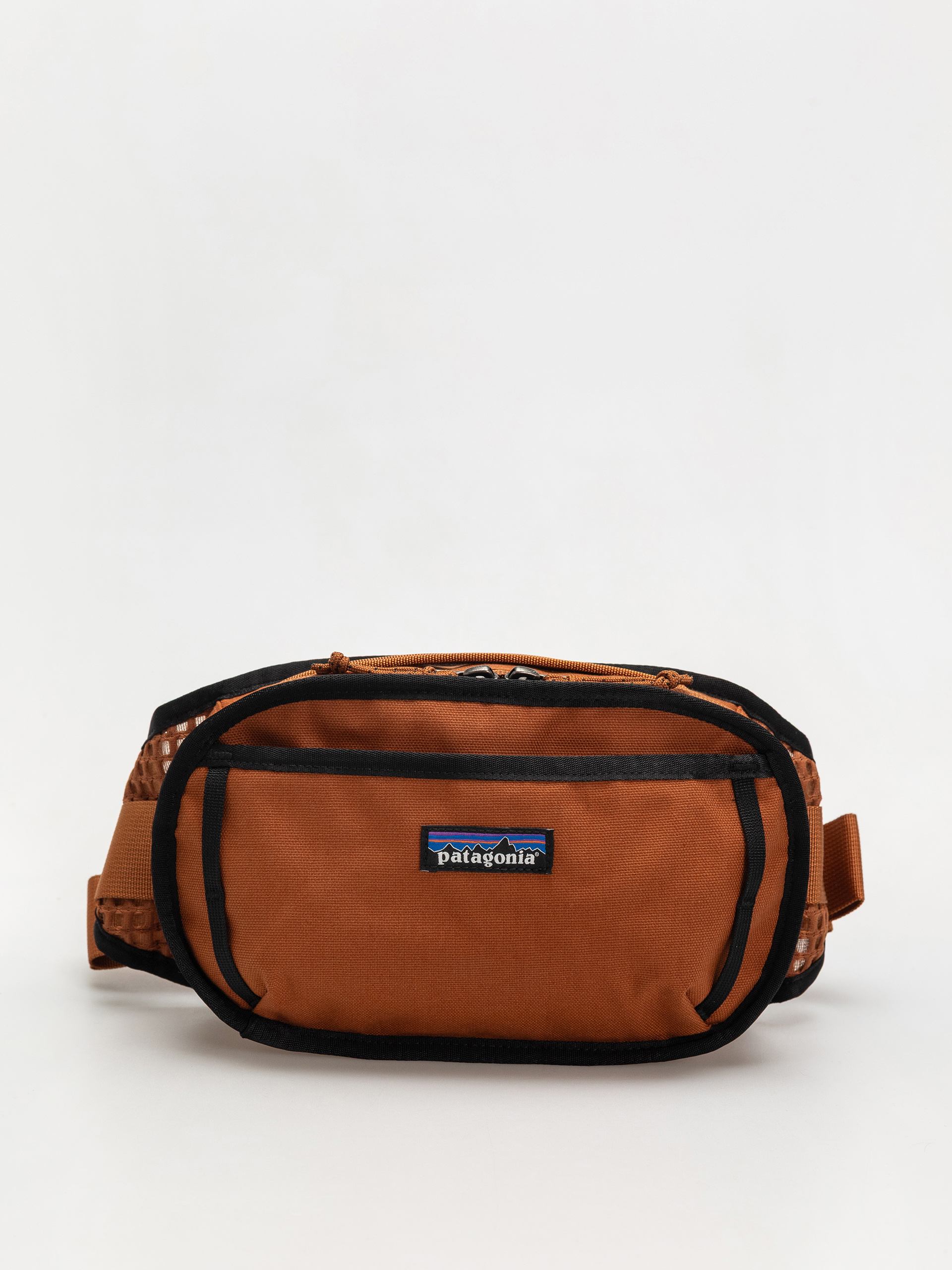 Patagonia Fieldsmith Bum bag - brown (robin brown)