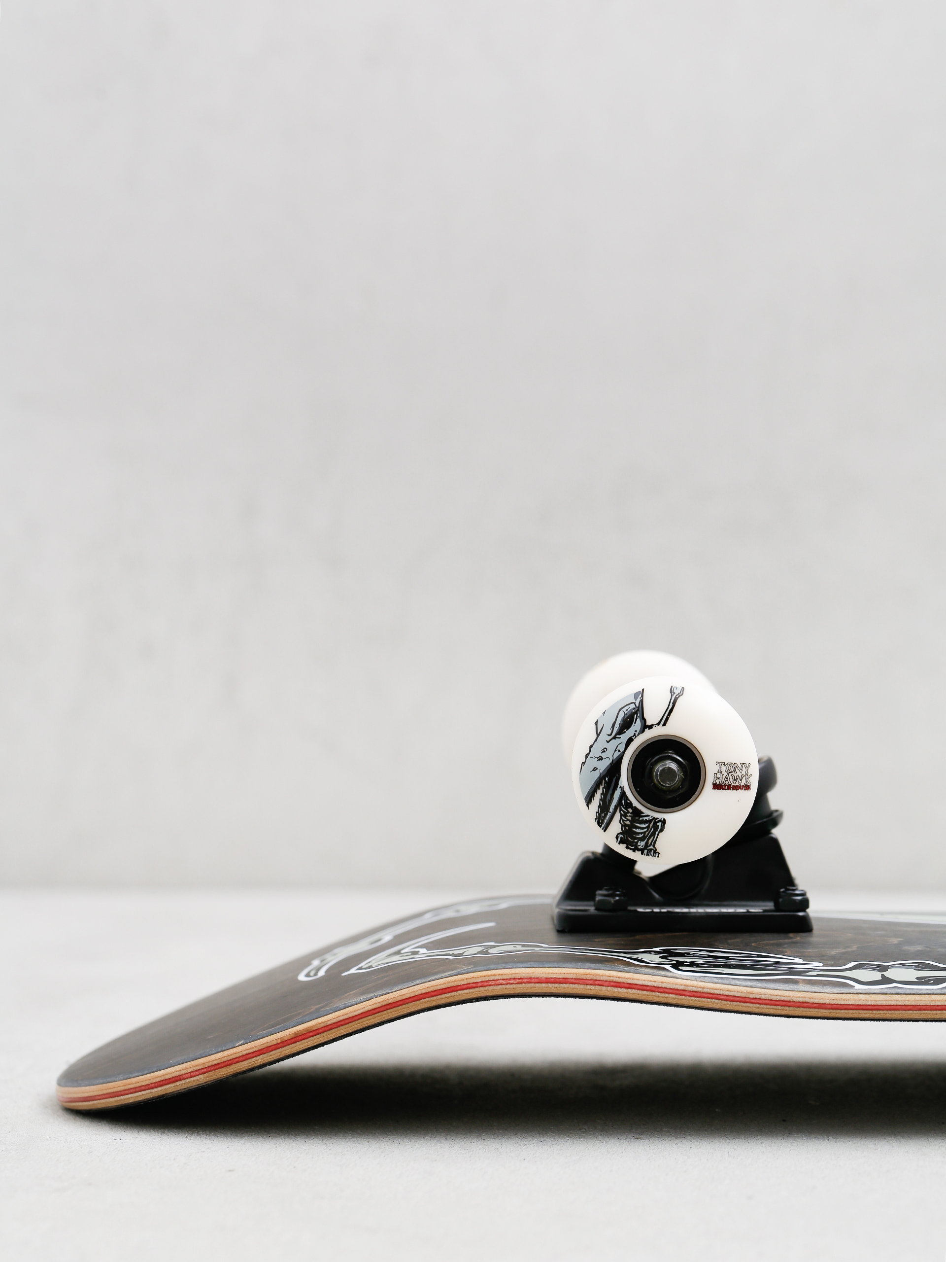 Birdhouse Hawk Pterodactyl Skateboard (black)
