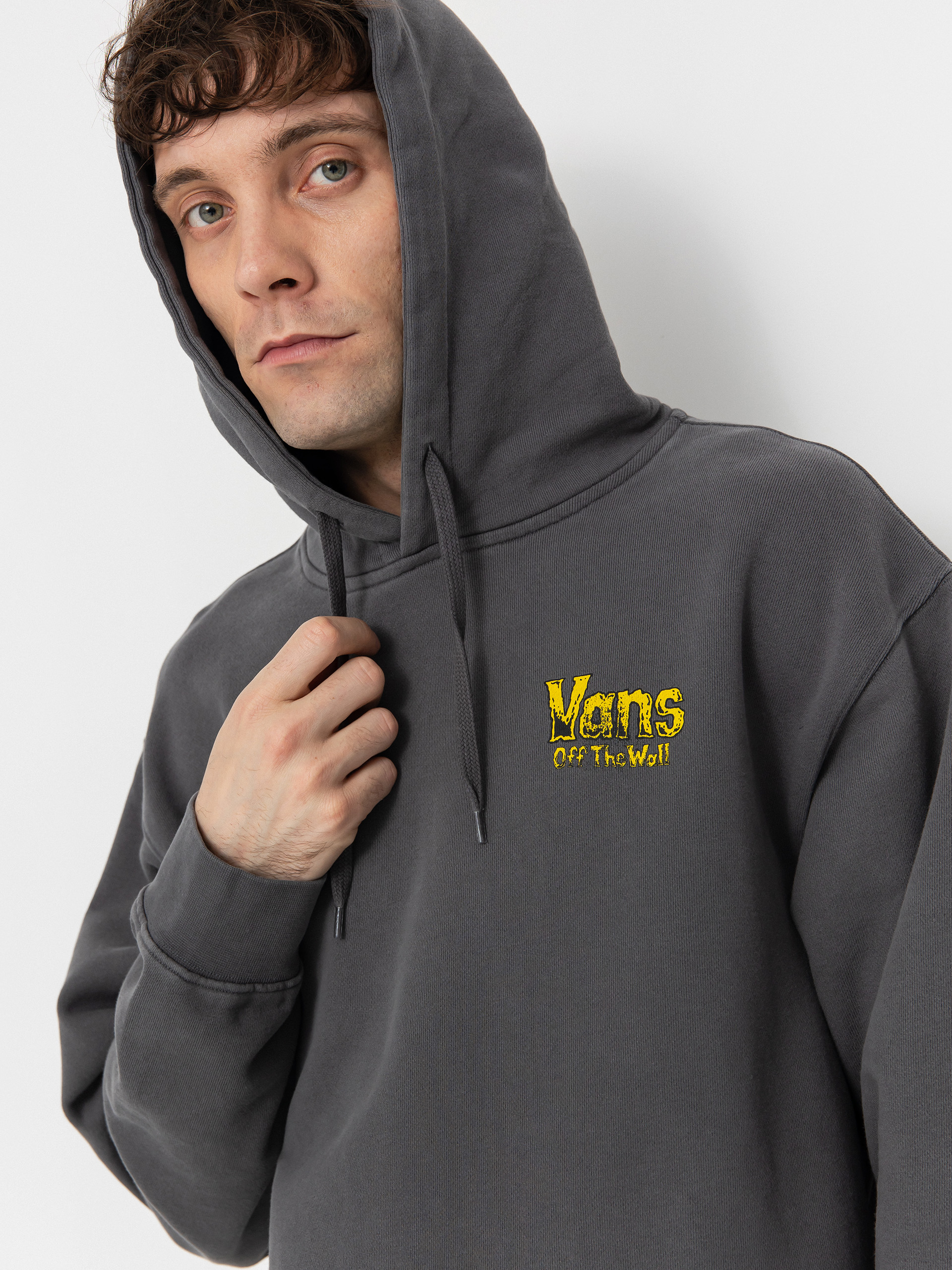 Vans Z Legacy Loose ZHD Hoodie (asphalt)