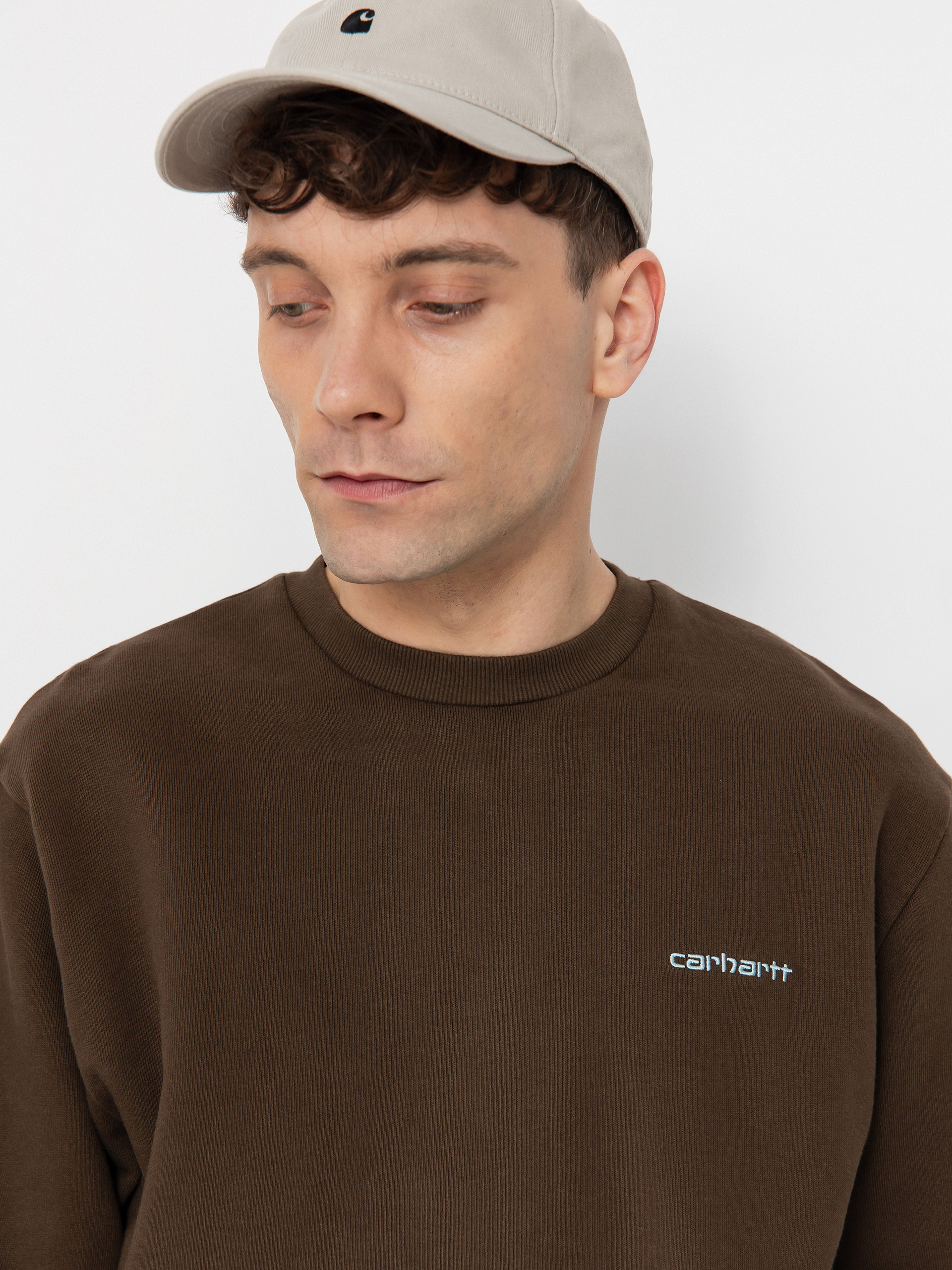 Carhartt WIP Script Embroidery Sweatshirt (liberica/air sky)
